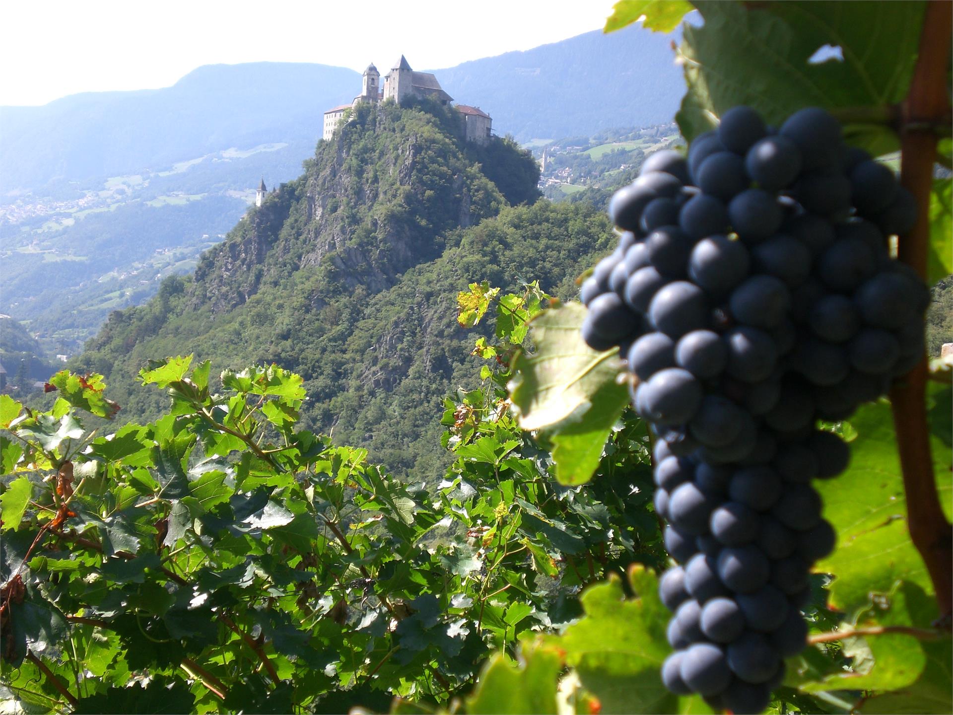 Laitacher Weinwanderweg Klausen 2 suedtirol.info