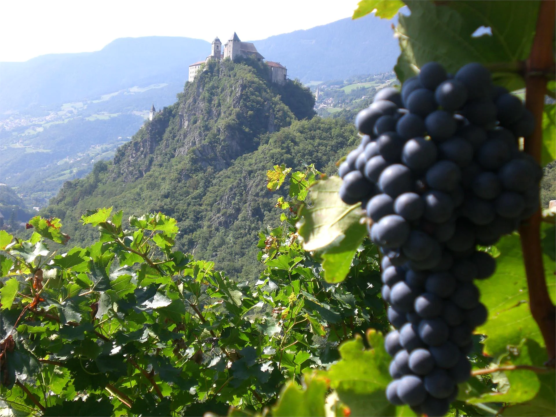 Laitacher Weinwanderweg Klausen 2 suedtirol.info