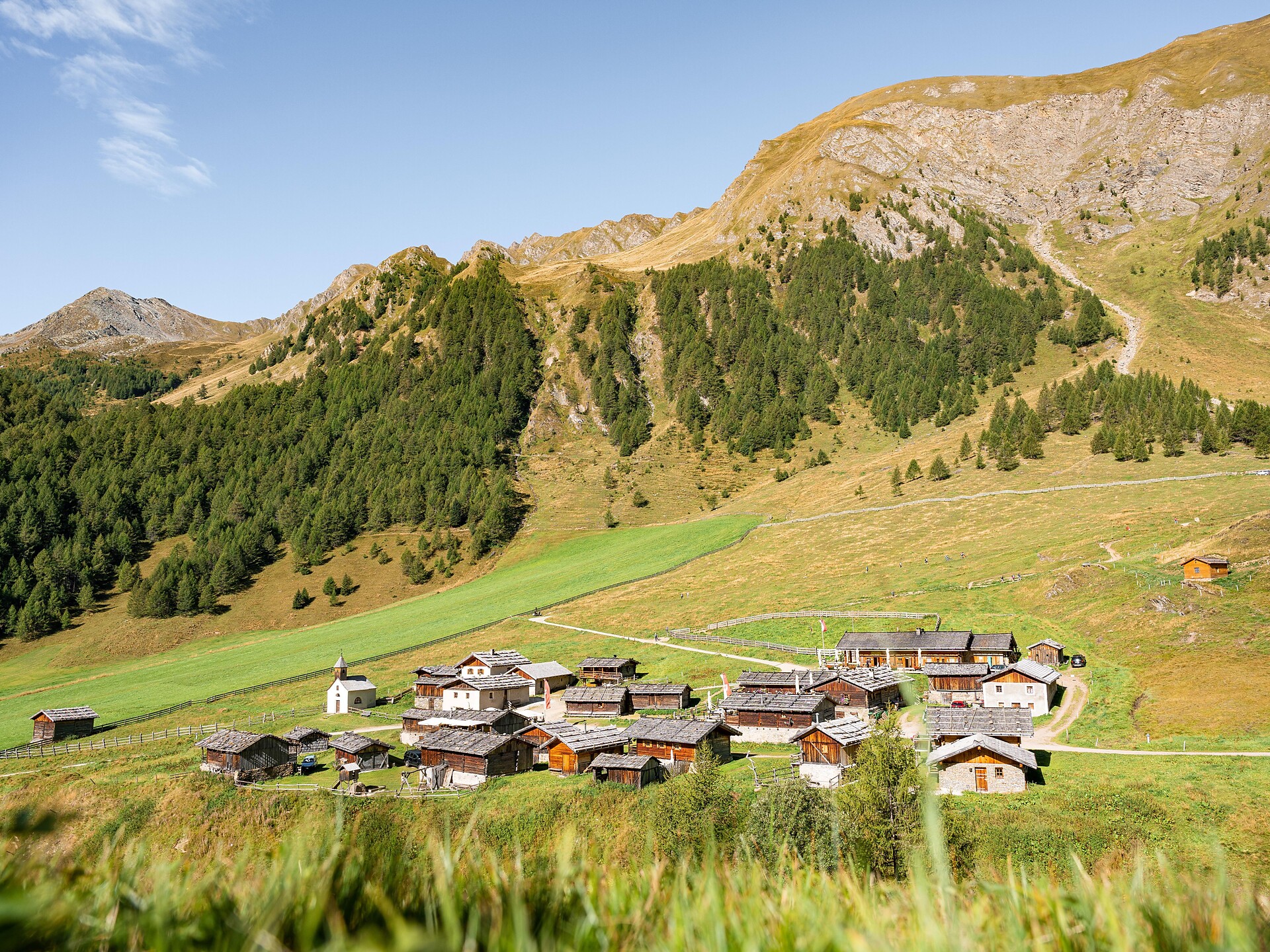 Malga Fane