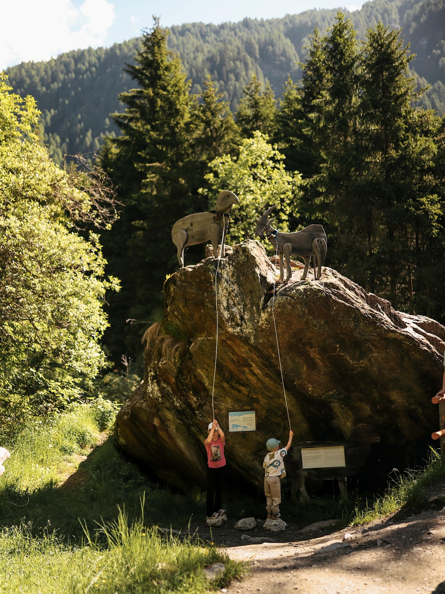 Sentiero del latte: da Valles alla malga Fane - Bressanone e dintorni - #2 - suedtirol.info