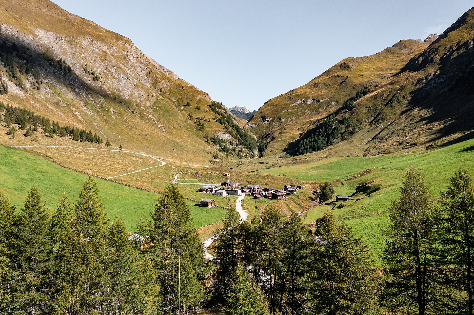 Sentiero del latte: da Valles alla malga Fane - Bressanone e dintorni - #3 - suedtirol.info