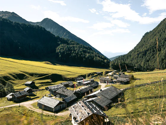 Milk trail: From Vals to the Fane Alm