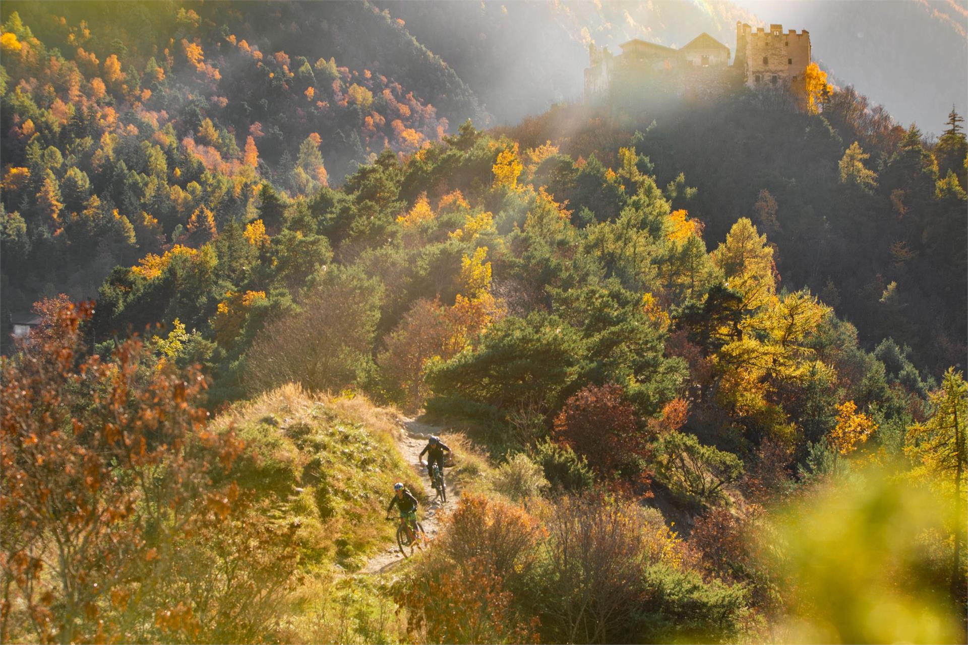 Latscher Trailzauber Laces 1 suedtirol.info