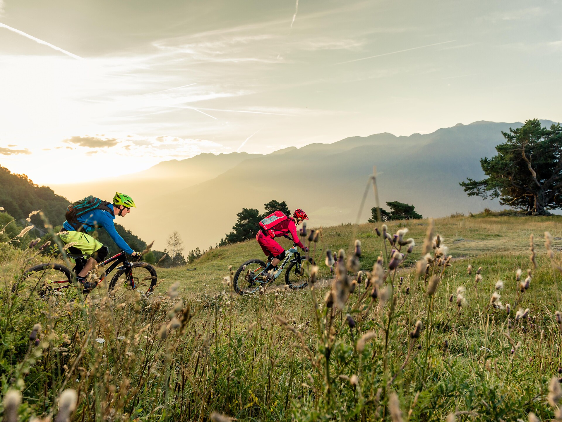 Montesole / Sunny Benny Trail