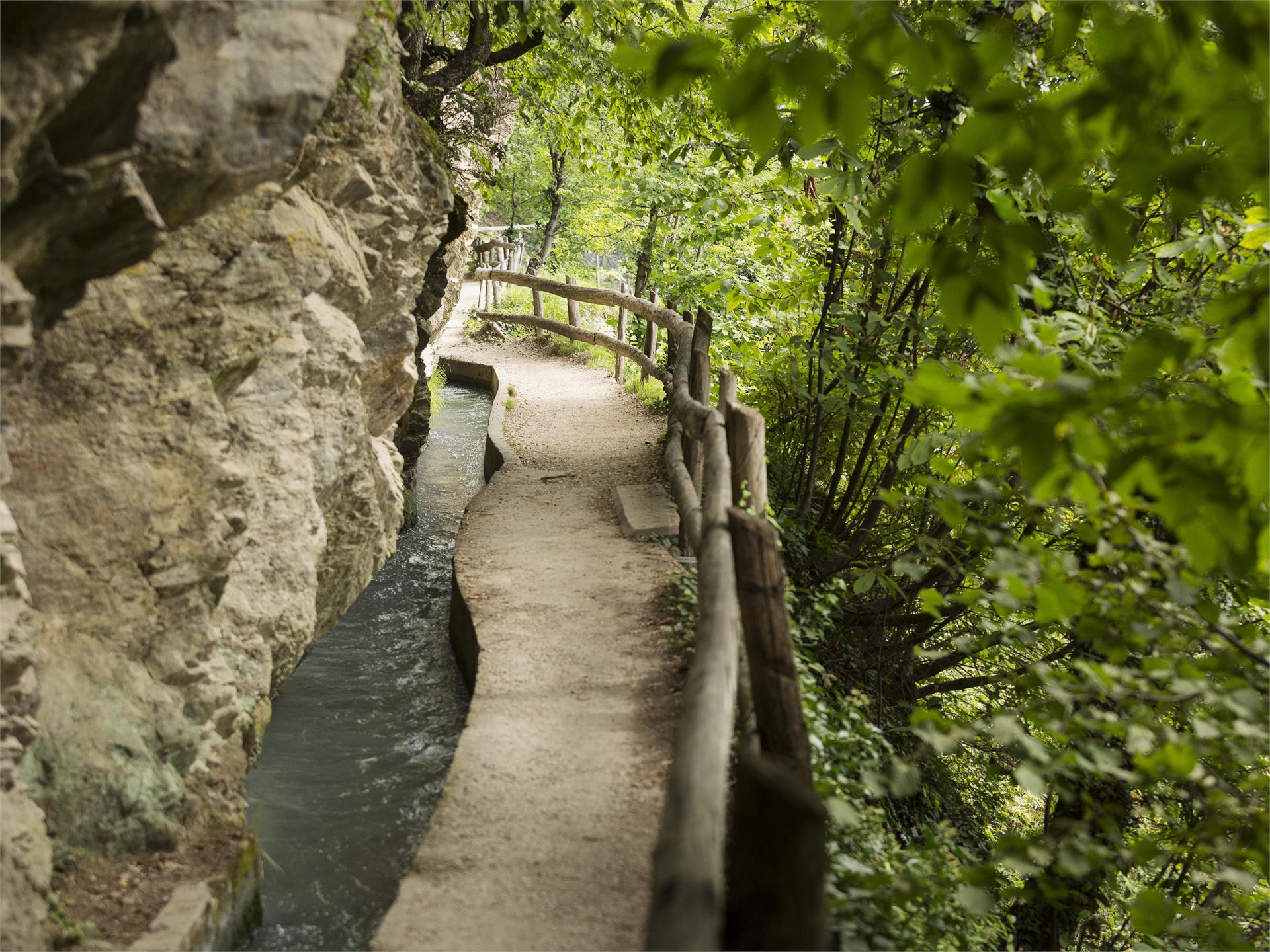 Waalweg, canale d´irrigazione di Marlengo Marlengo 2 suedtirol.info