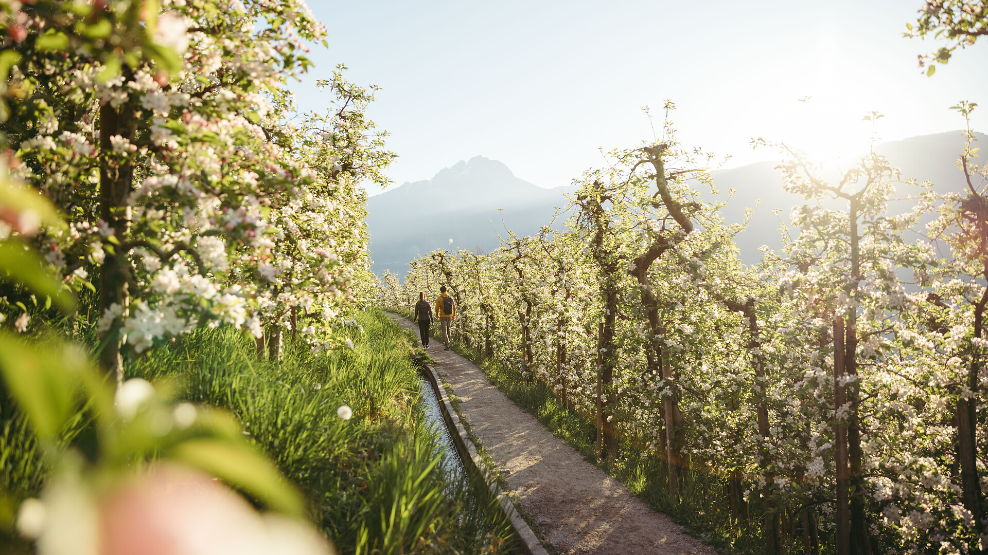 Marlinger Waalweg  - Meran und Umgebung - #1 - suedtirol.info