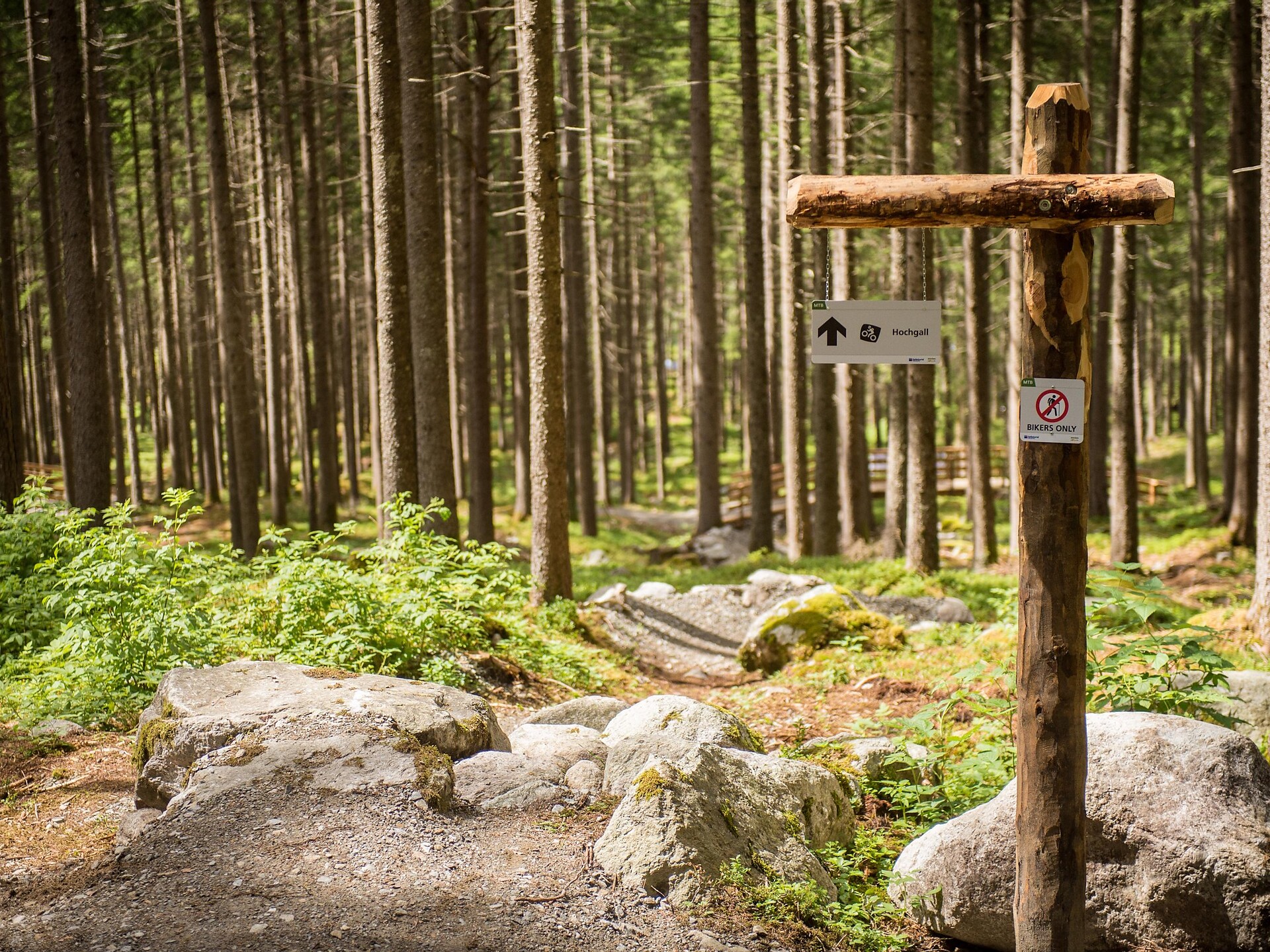Mountainbike Area di Anterselva di Sotto - Regione dolomitica Plan de Corones - #2 - suedtirol.info