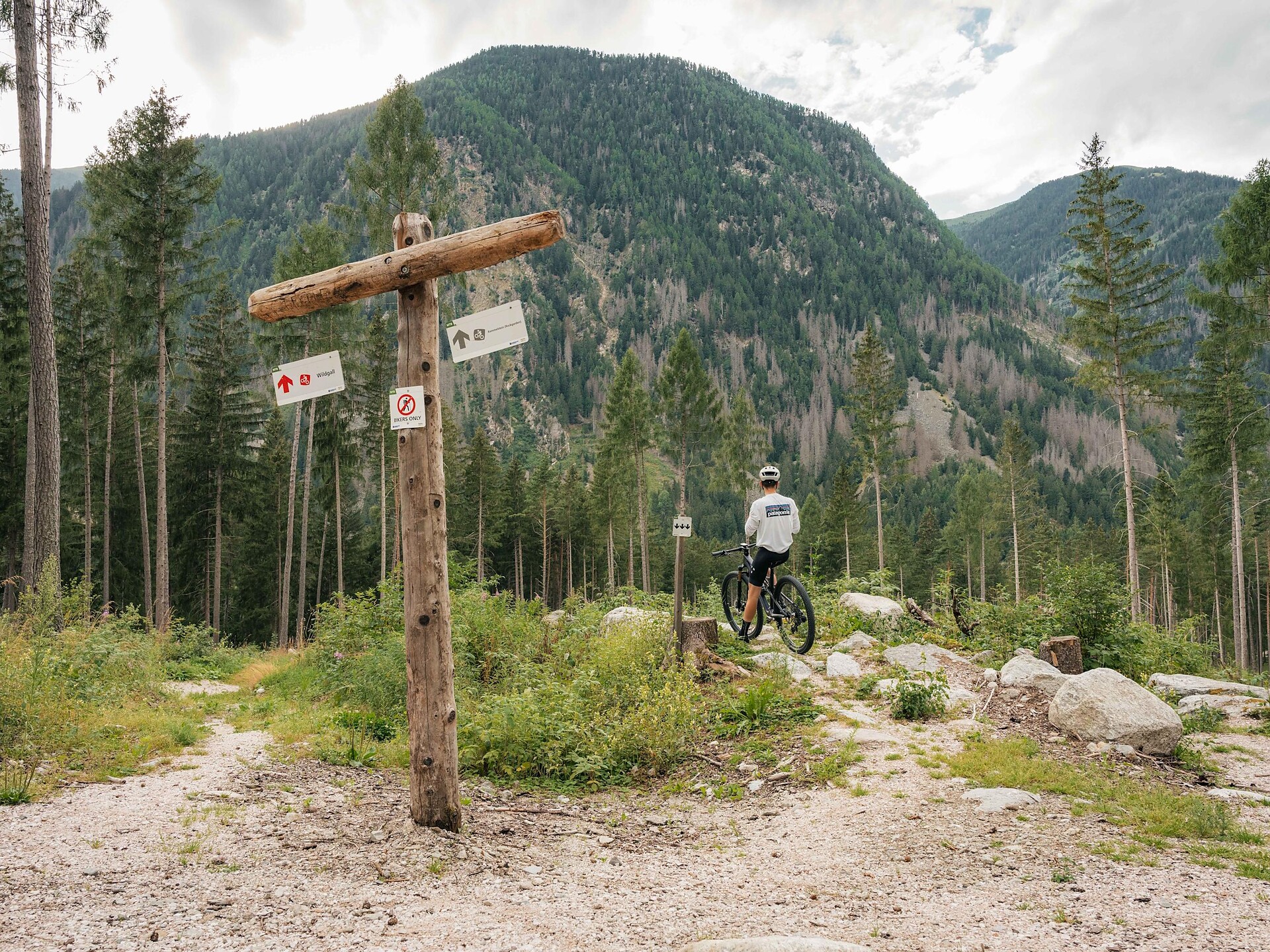 Mountainbike Area di Anterselva di Sotto - Regione dolomitica Plan de Corones - #3 - suedtirol.info