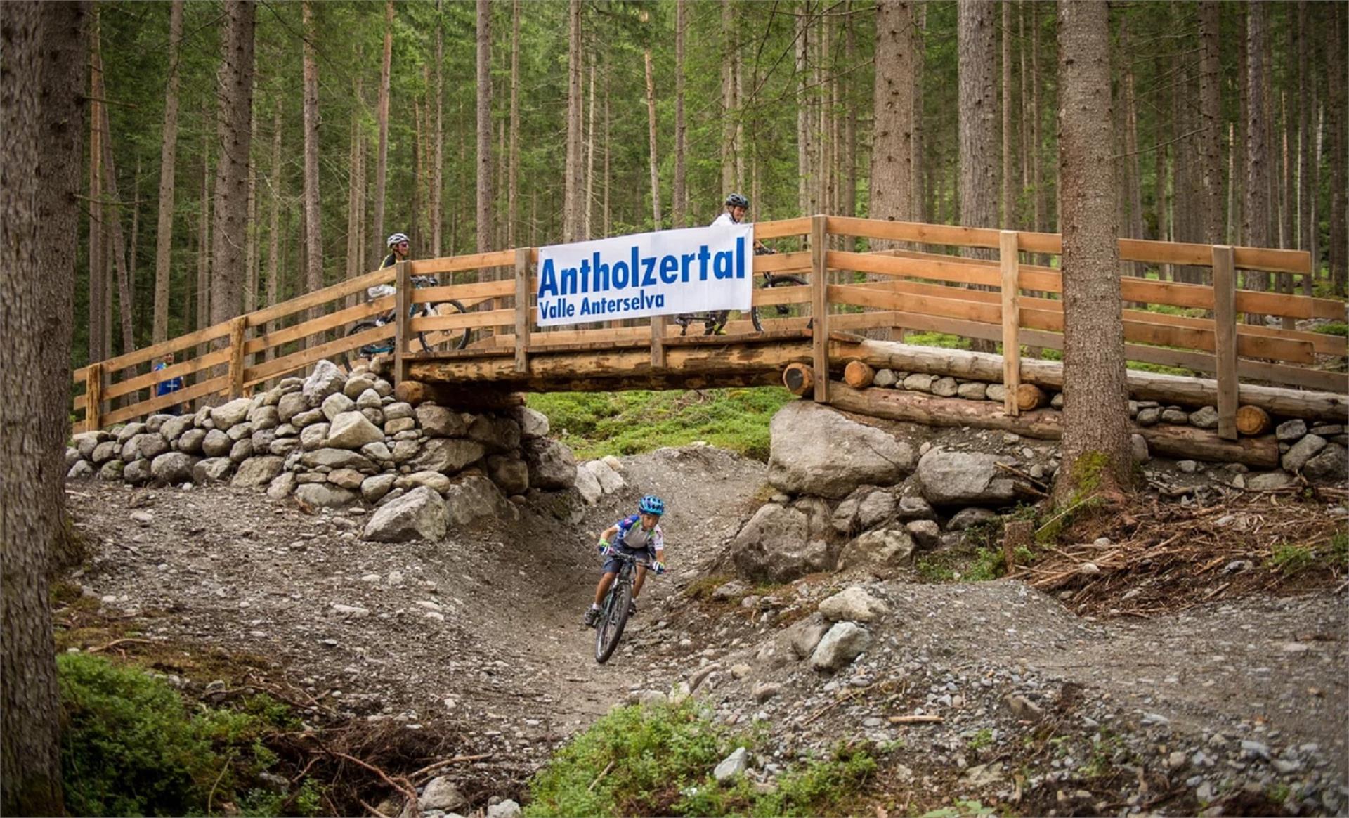 MTB Area Antholz Niedertal Rasen-Antholz 1 suedtirol.info