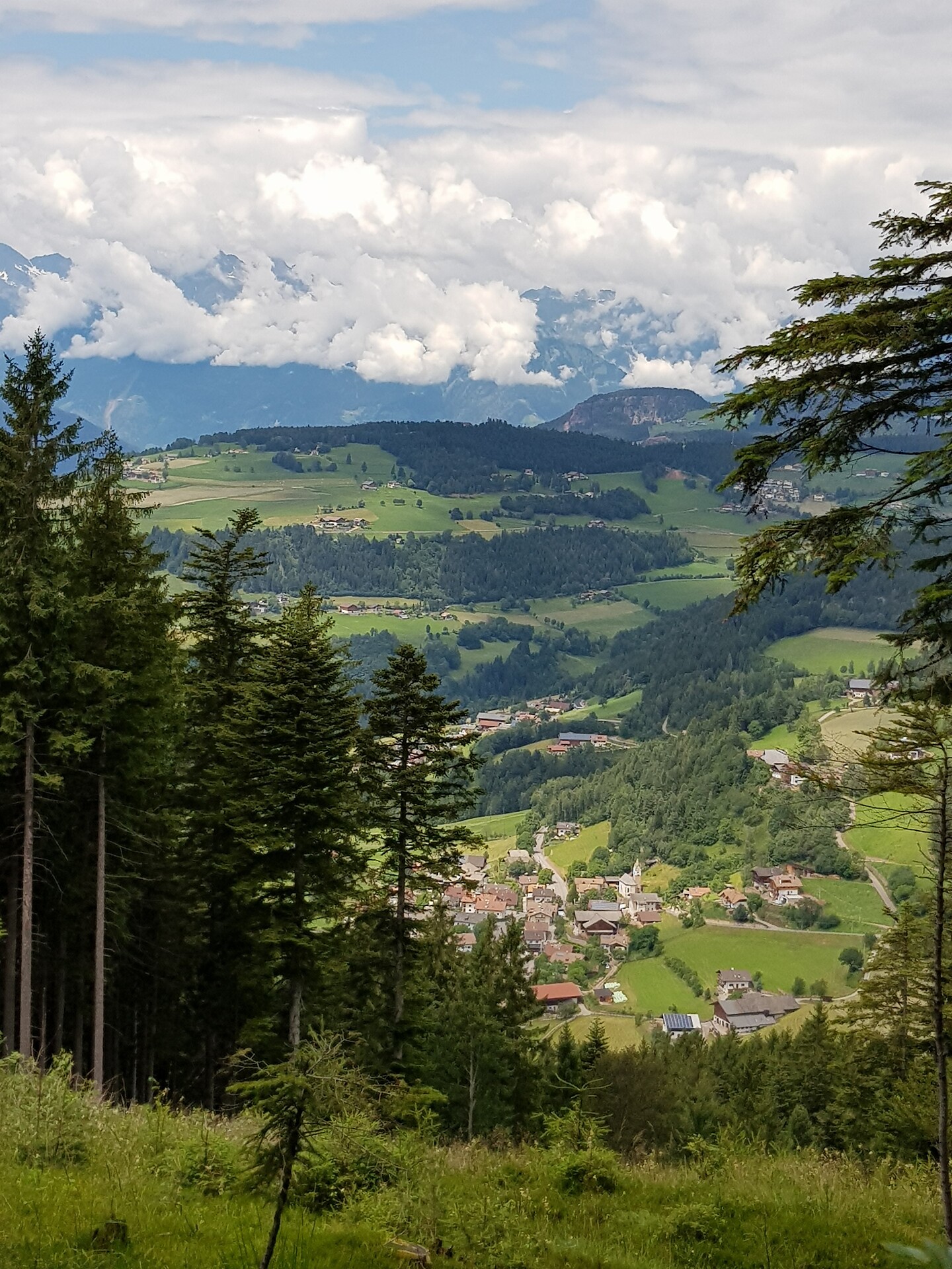 Mölten - Verschneid - Tschaufen Terlan/Terlano 4 suedtirol.info