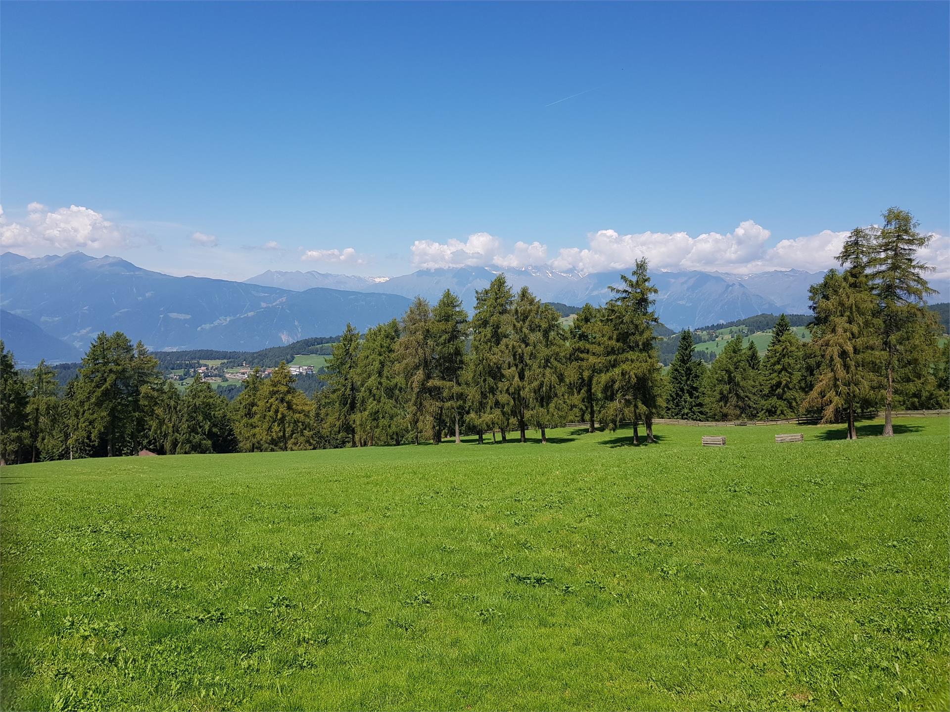 Sattlerhütte Mölten 2 suedtirol.info