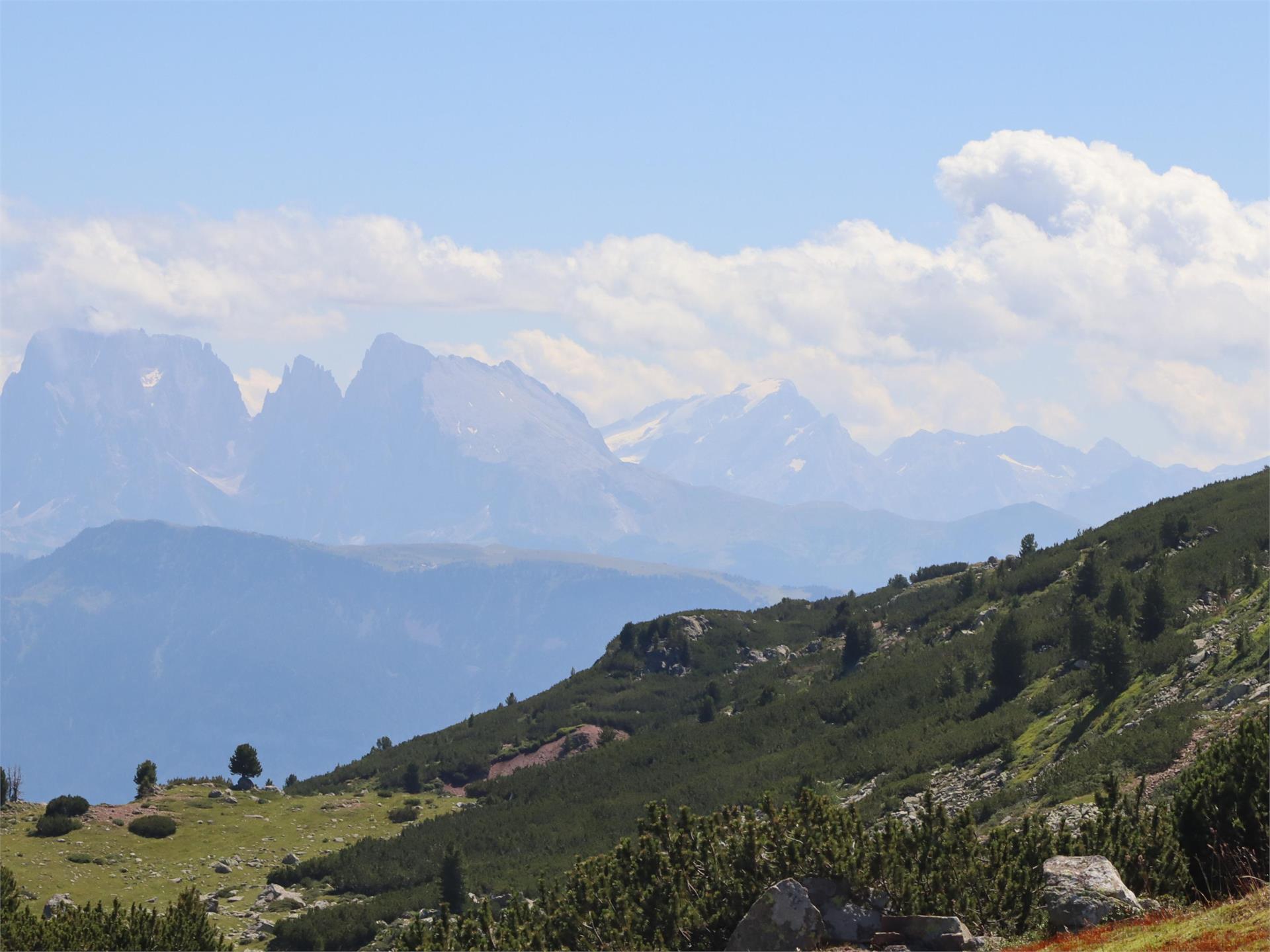 Mountainbike-Tour II Oberbozen - Rittner Horn Ritten 2 suedtirol.info