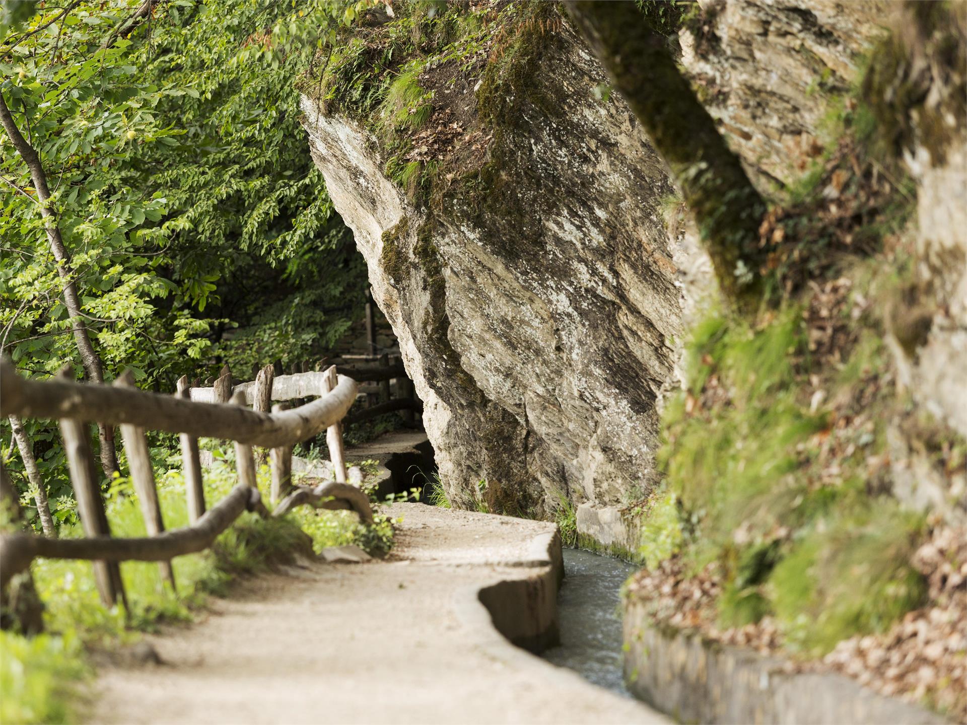 Easy Hike on Marling Waalweg Trail Lana 1 suedtirol.info