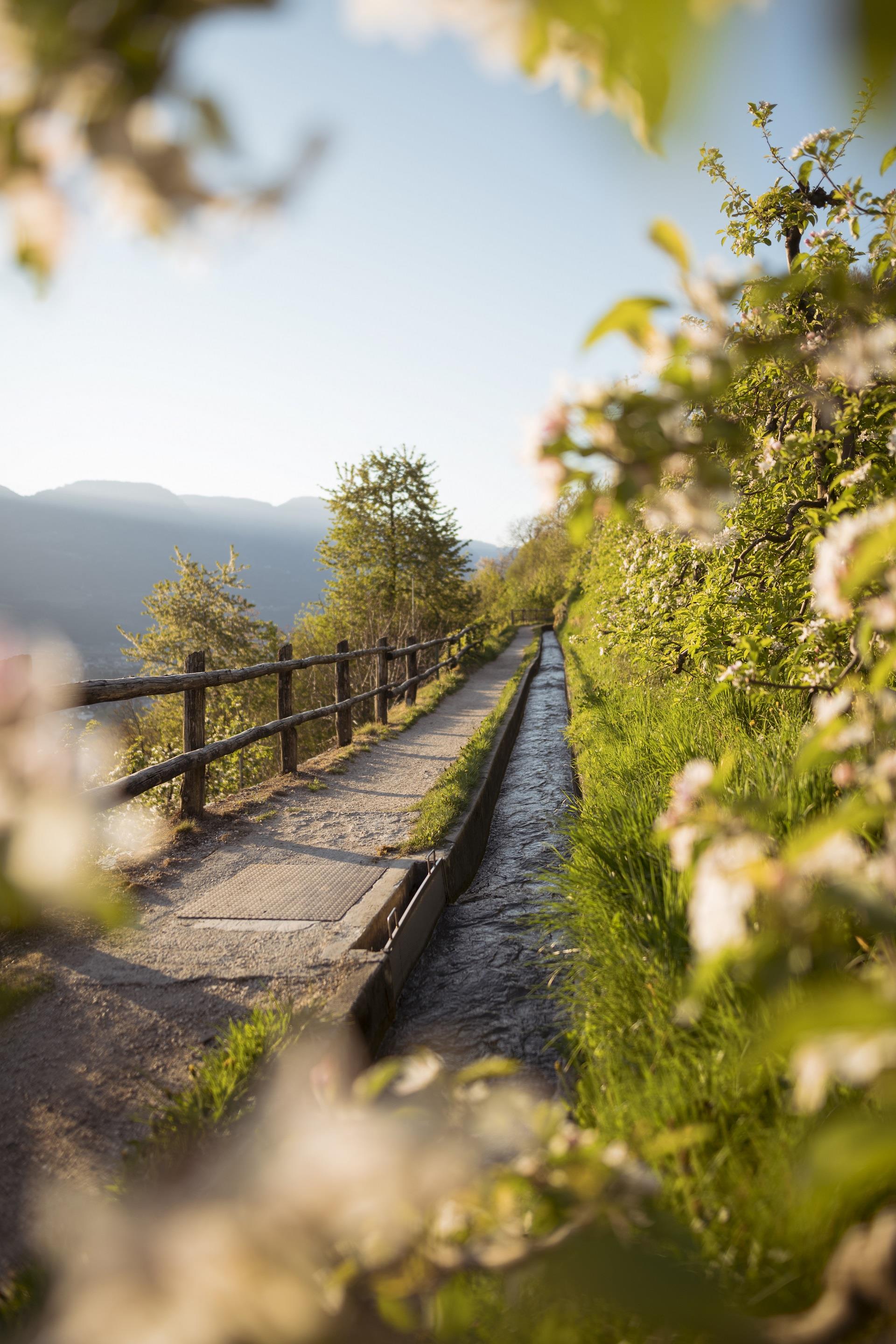 From Algund/Tell along the Marling Waalweg canal trail Algund/Lagundo 1 suedtirol.info