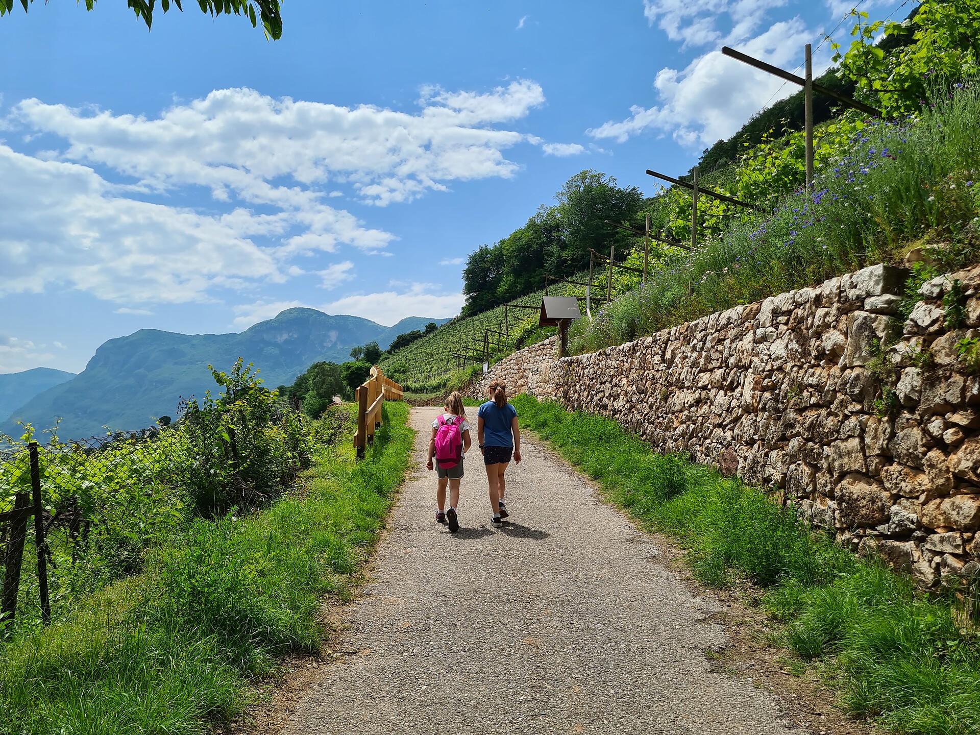 Murundum route nr. 4 - Rungg - Alto Adige Wine Road - #4 - suedtirol.info