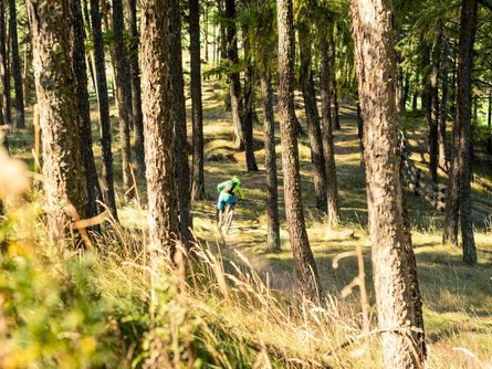 Mountain bike Aigen Trail Silandro 1 suedtirol.info