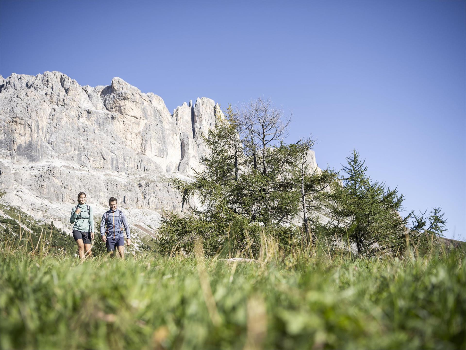 Trekking di più giorni "Sentiero Italia" - Tappa: Rif. Fronza A. Coronelle-San Cipriano (Tires) Nova Ponente 1 suedtirol.info