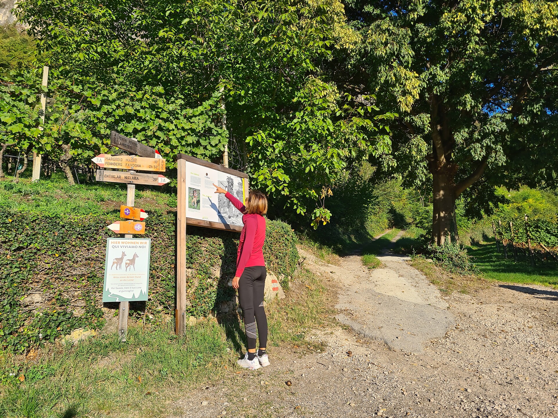 Murundum route nr. 5 - "Kofl Leitenweg" - Alto Adige Wine Road - #1 - suedtirol.info