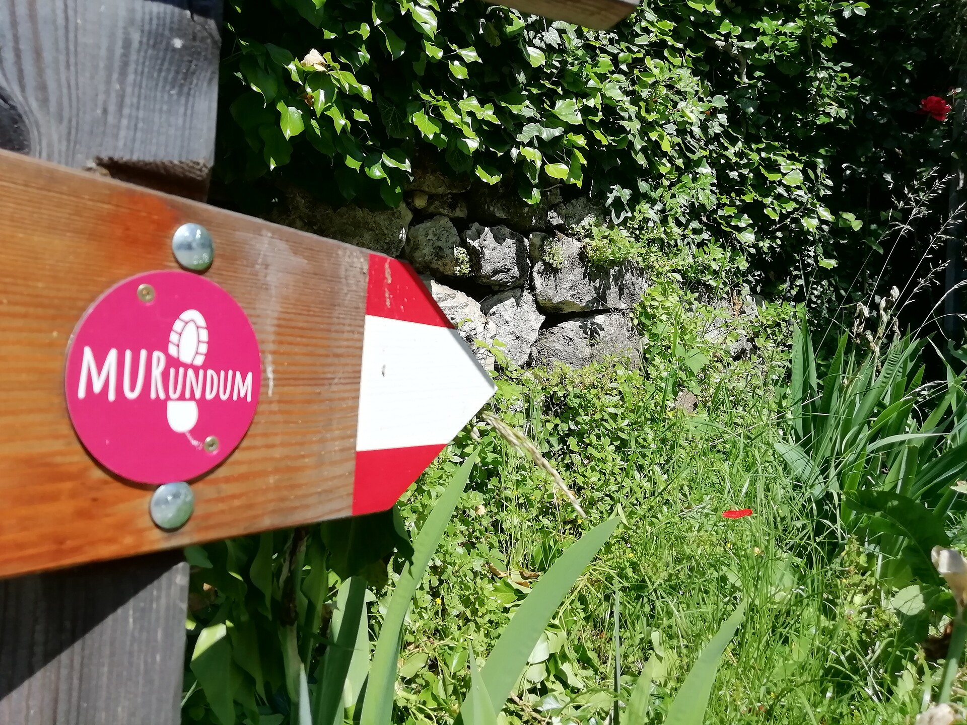 Murundum route nr. 5 - "Kofl Leitenweg" - Alto Adige Wine Road - #2 - suedtirol.info