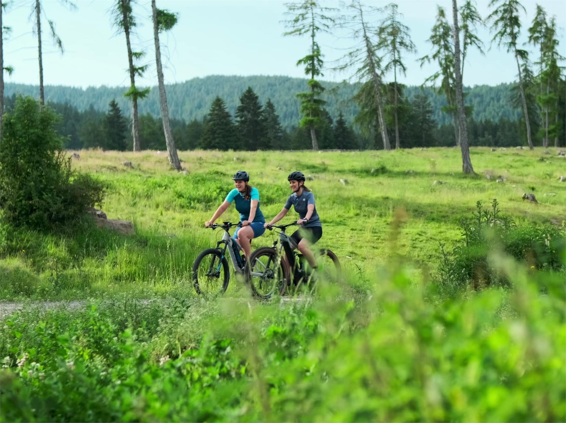 MTB tour to the Wurzer Alm Mountain Hut Hafling/Avelengo 1 suedtirol.info