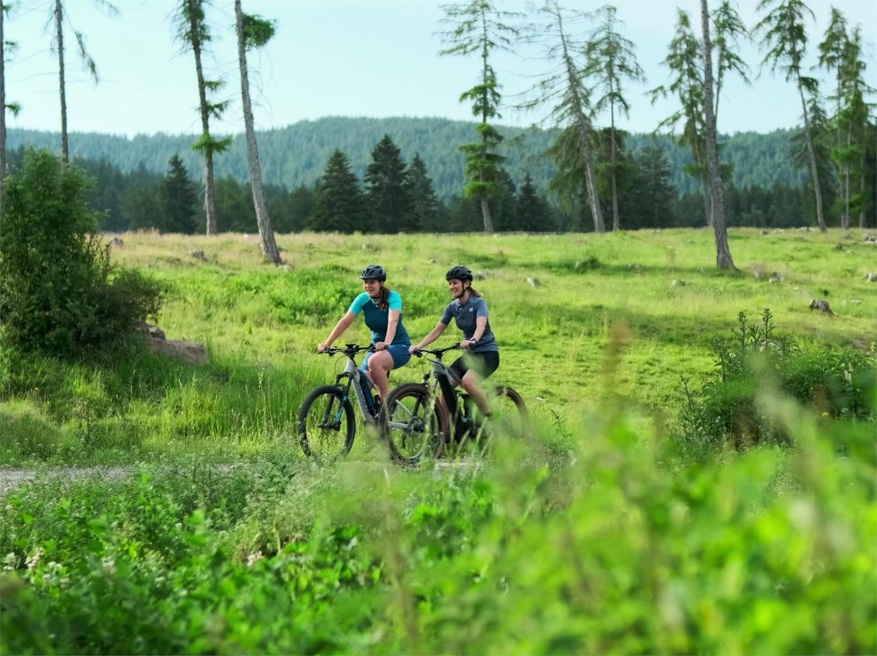 Tour in mountain bike alla Malga Wurzer