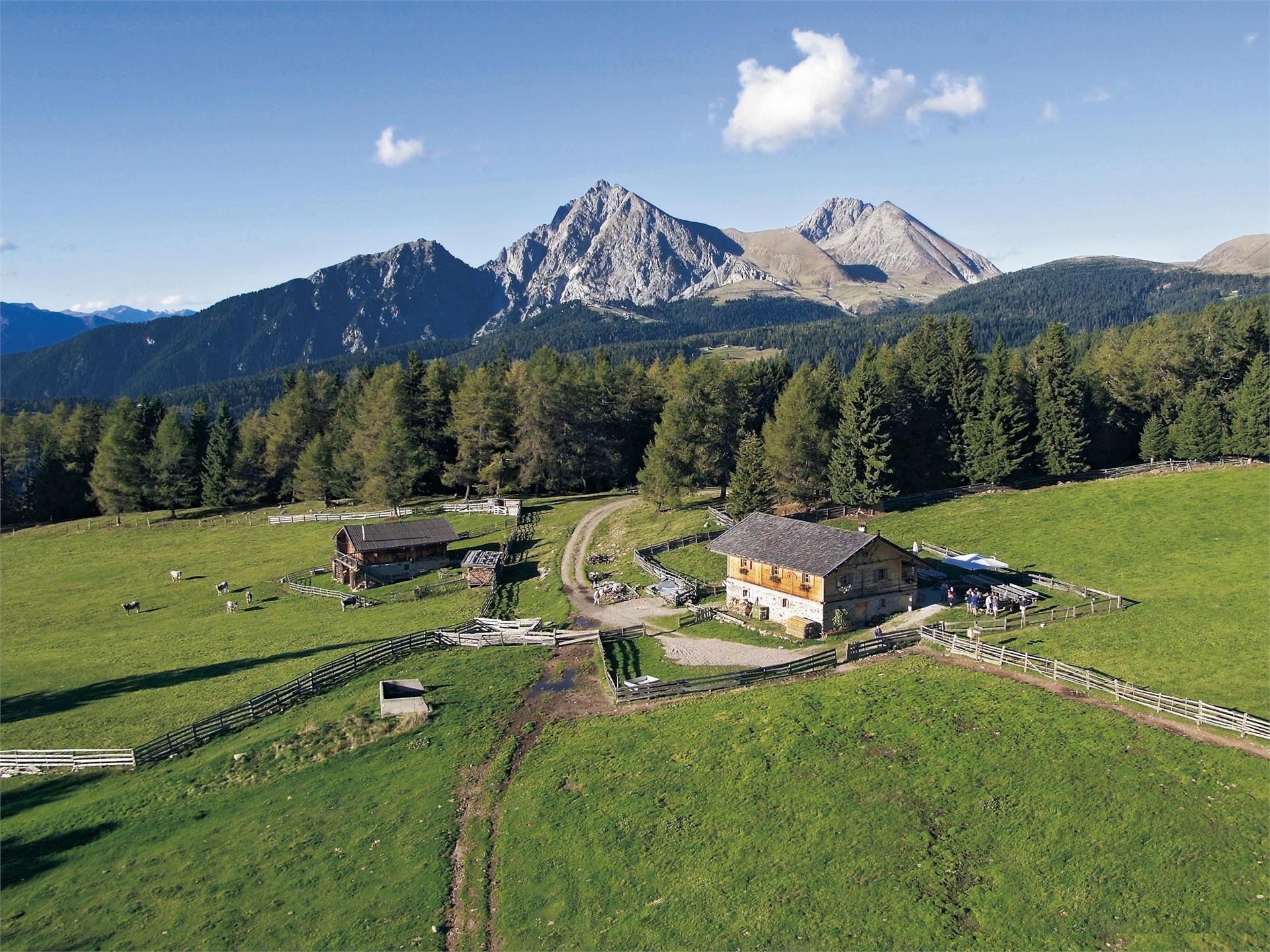 MTB tour to the Wurzer Alm Mountain Hut Hafling/Avelengo 2 suedtirol.info