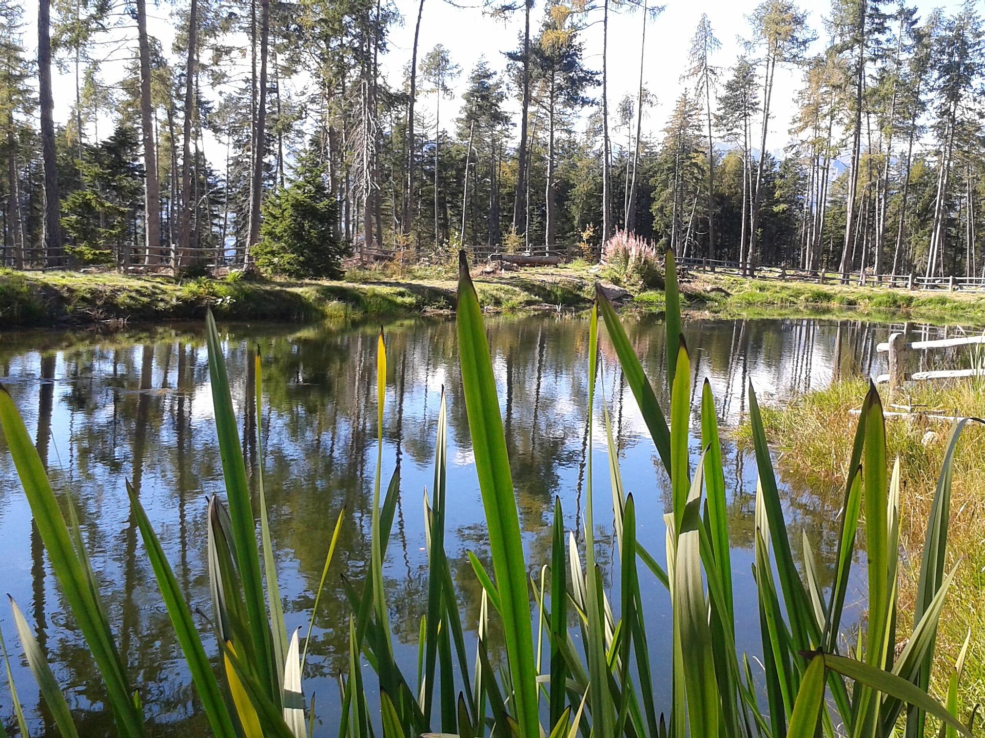 Kamper Weiher Pond in Hafling