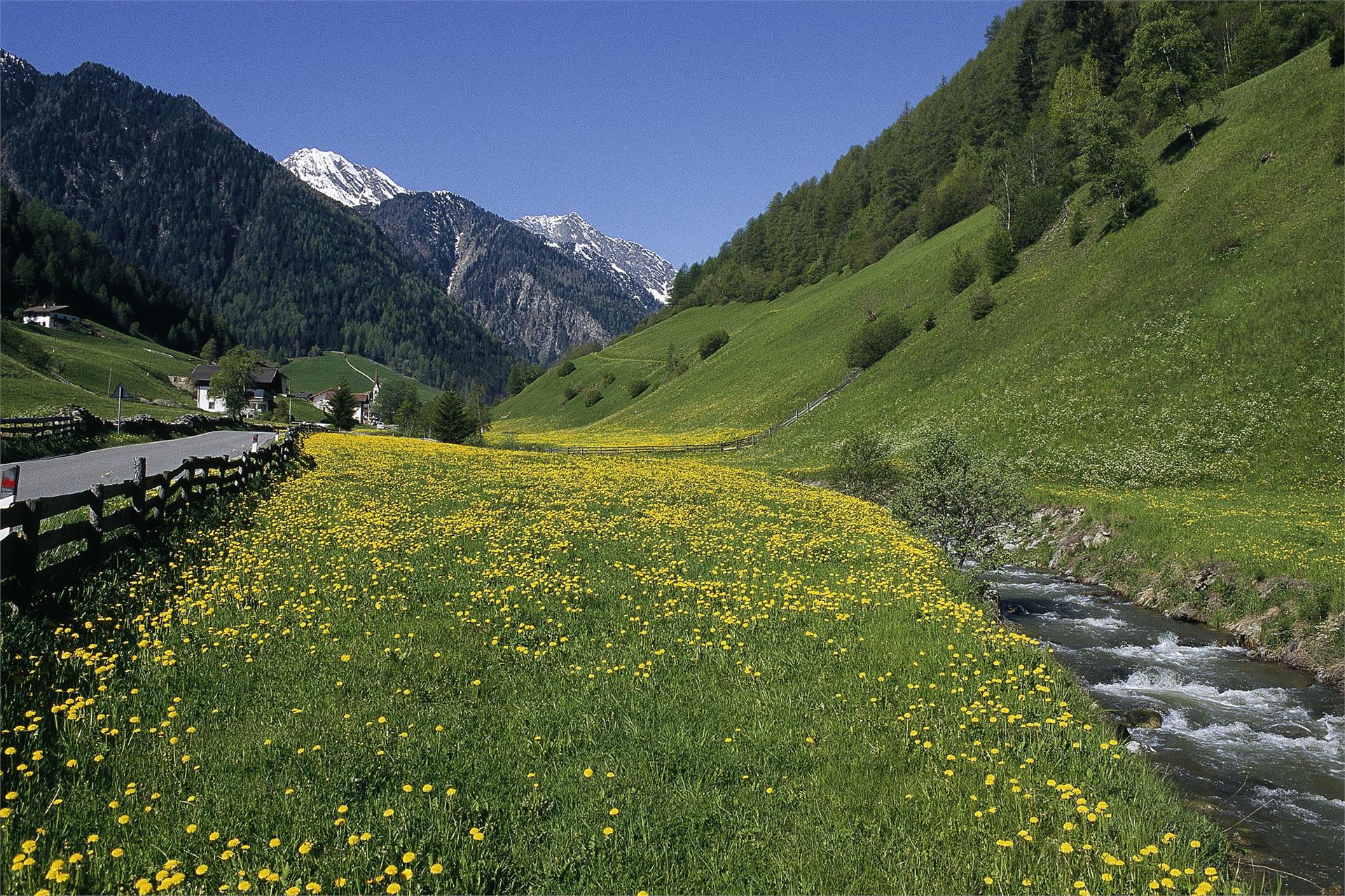 Mittagspitze Ratschings/Racines 2 suedtirol.info