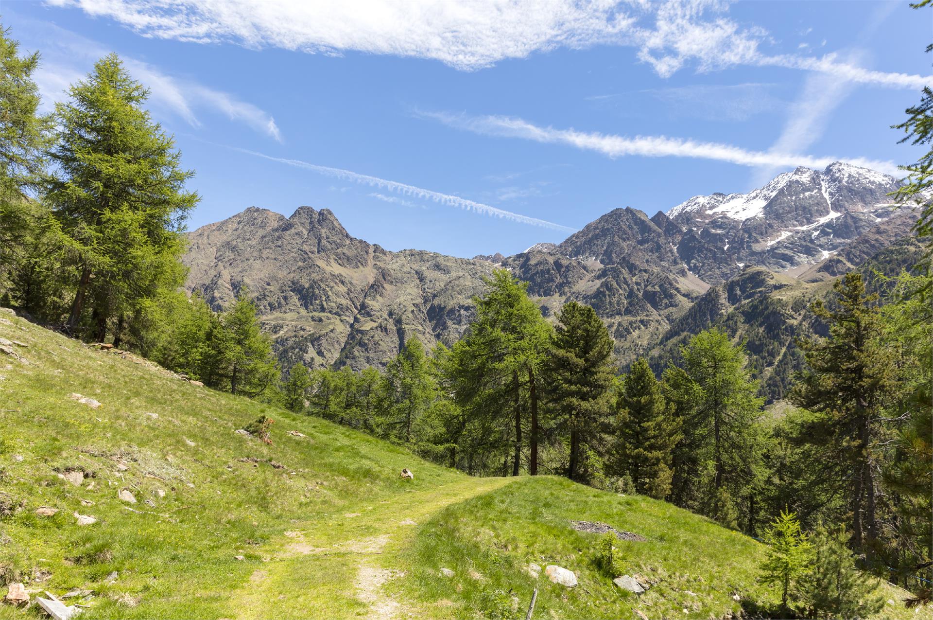 Tour alla Malga di Mazia Senales 2 suedtirol.info