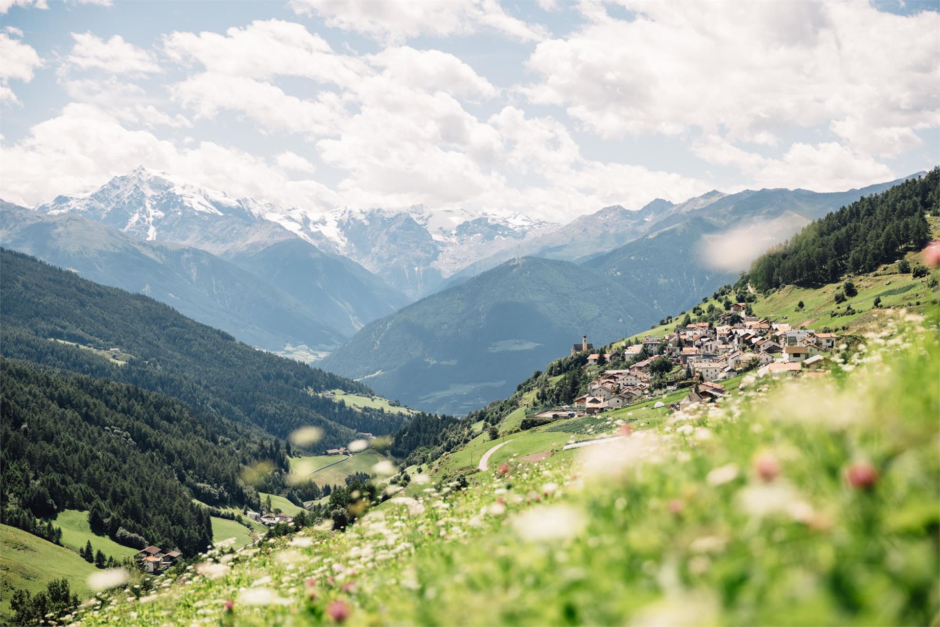 Tour alla Malga di Mazia Senales 1 suedtirol.info