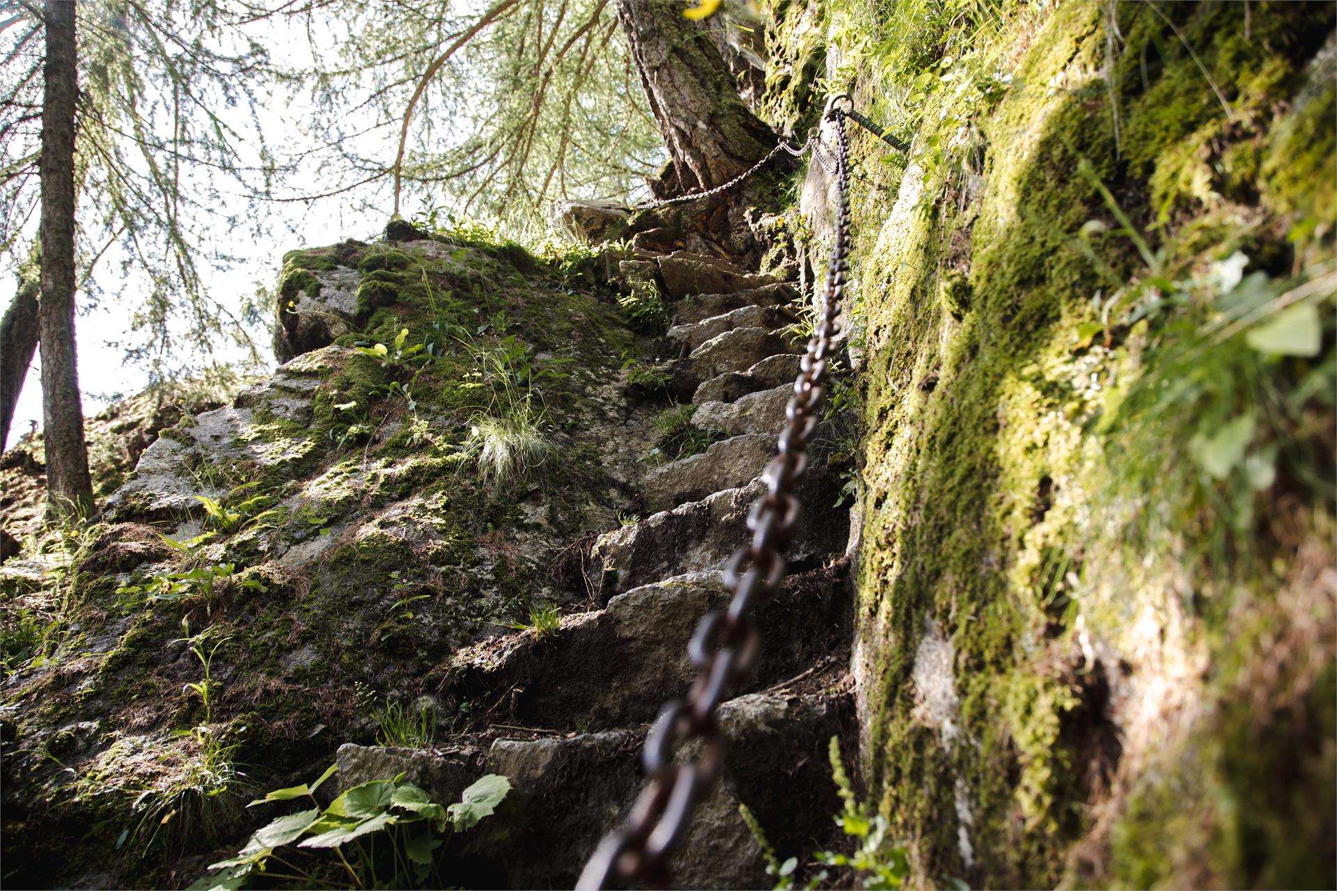Merano High Mountain Trail: Hiking through the 1.000 scales-canyon Partschins/Parcines 2 suedtirol.info