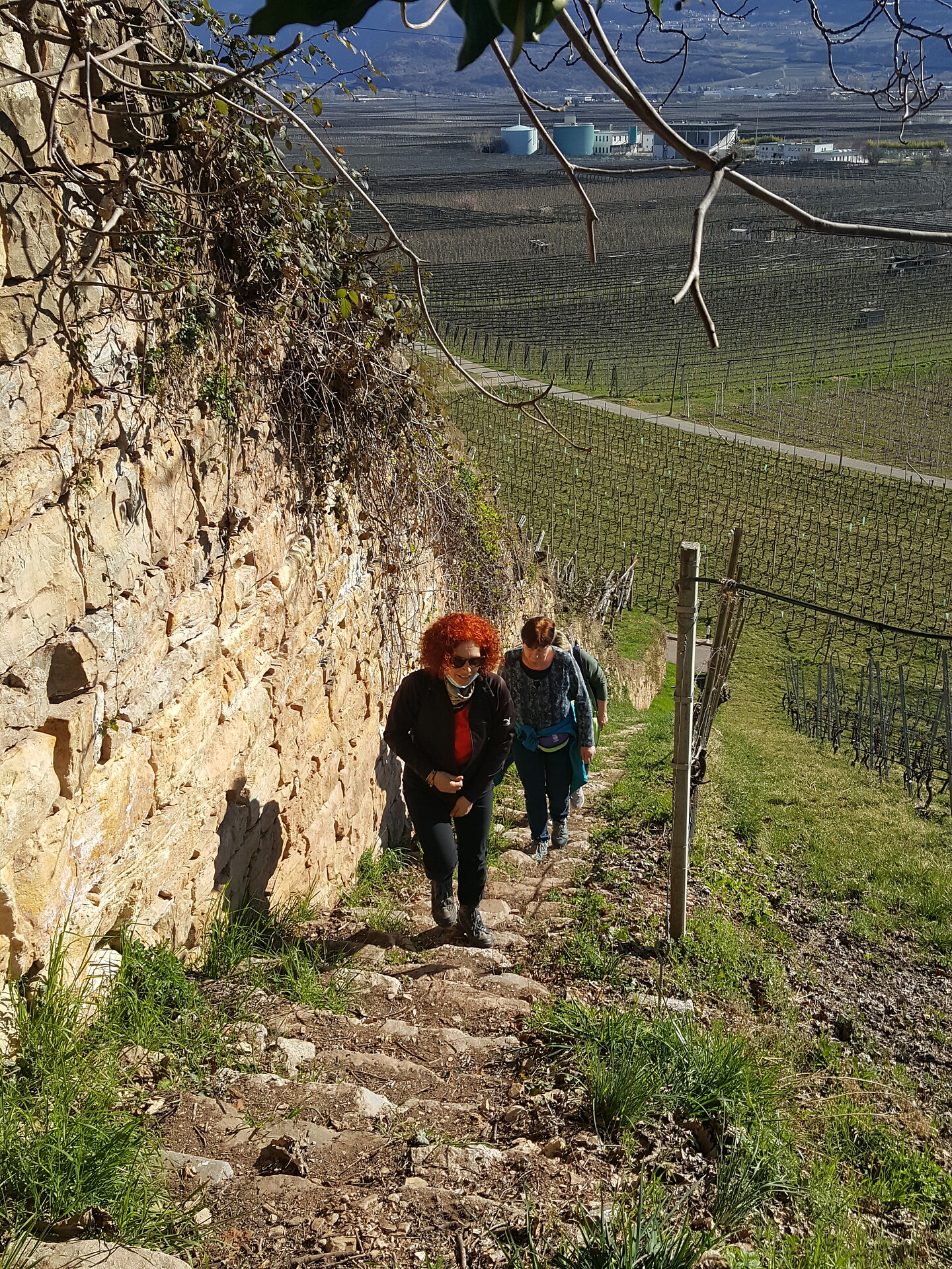 Murundum route nr. 2 - "Katzenleiter" - Alto Adige Wine Road - #1 - suedtirol.info