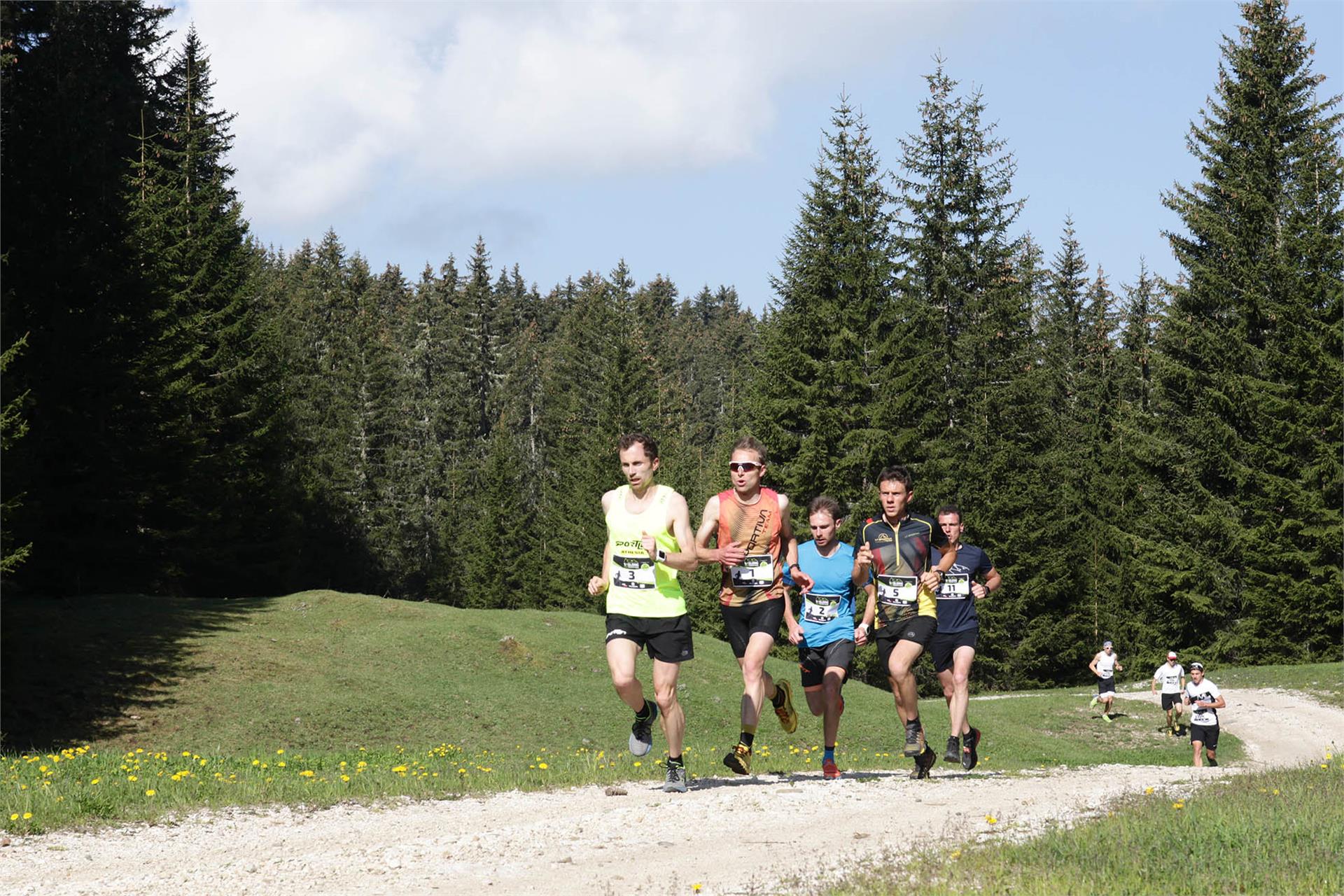 Monte Pana - Saltria Santa Cristina Val Gardena 5 suedtirol.info