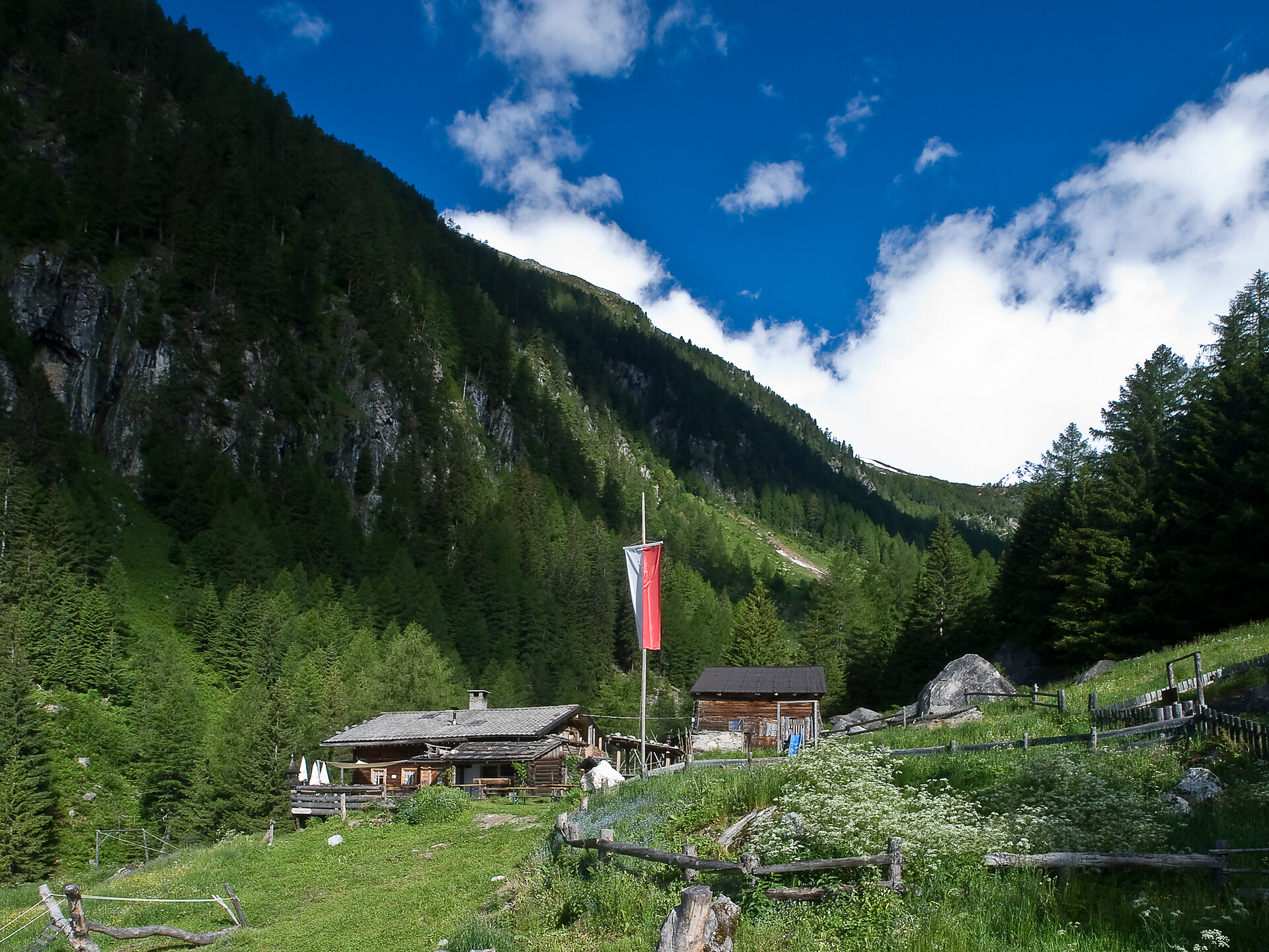 Mountainbiketour alla Schwarzbachalm malga - Valle Aurina - #2 - suedtirol.info