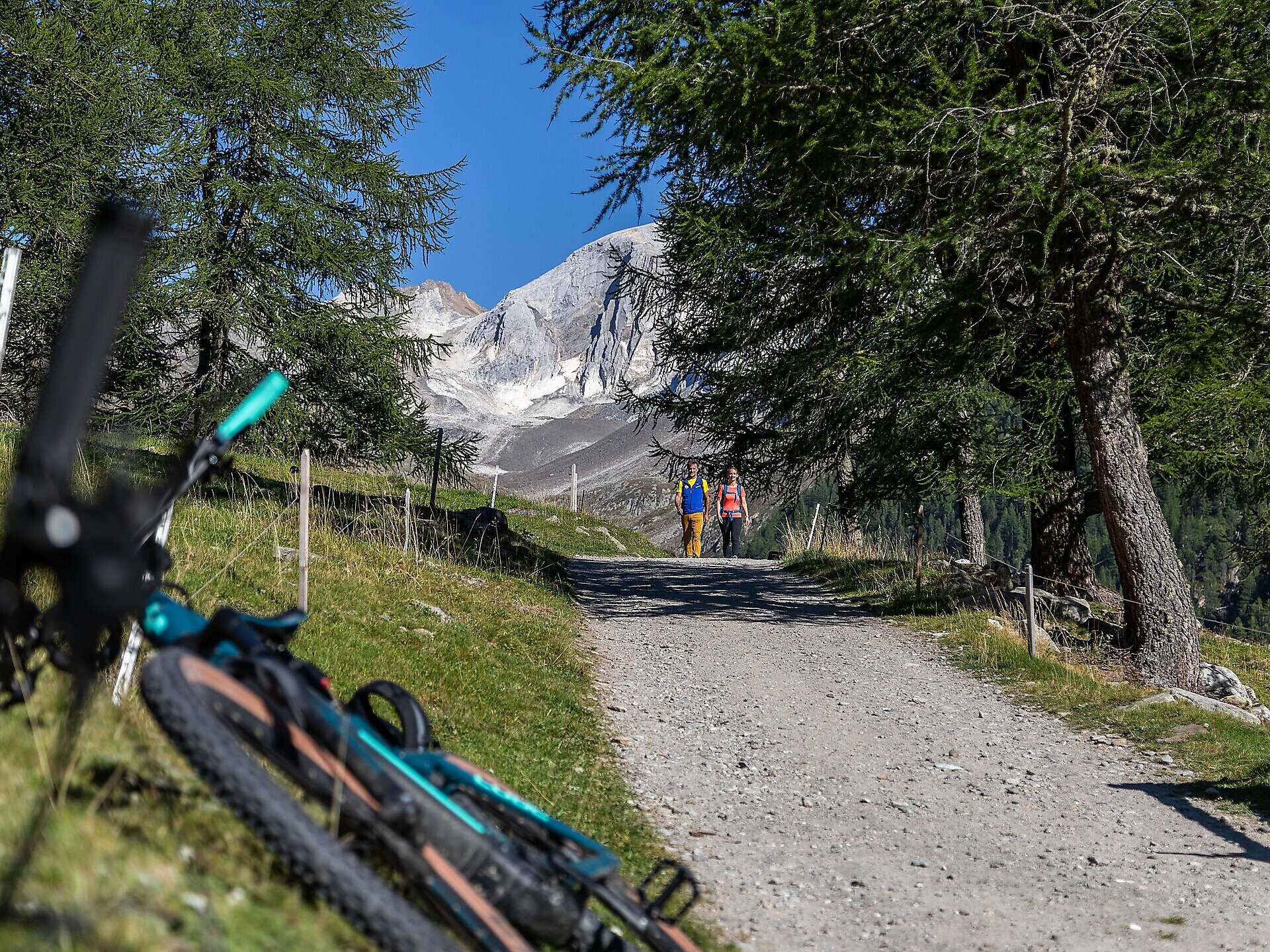 Mountainbike