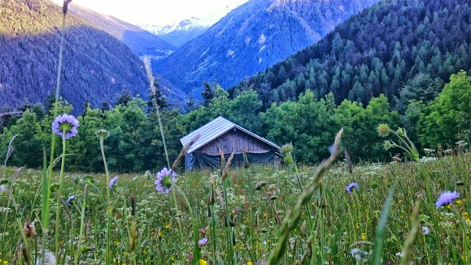 Montoni Tour Prato allo Stelvio 5 suedtirol.info