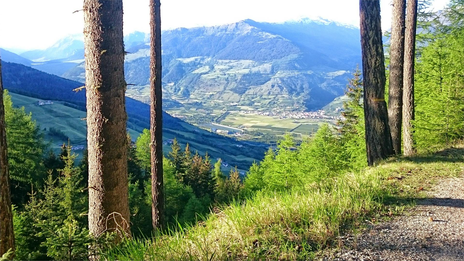 Montoni Tour Prato allo Stelvio 3 suedtirol.info