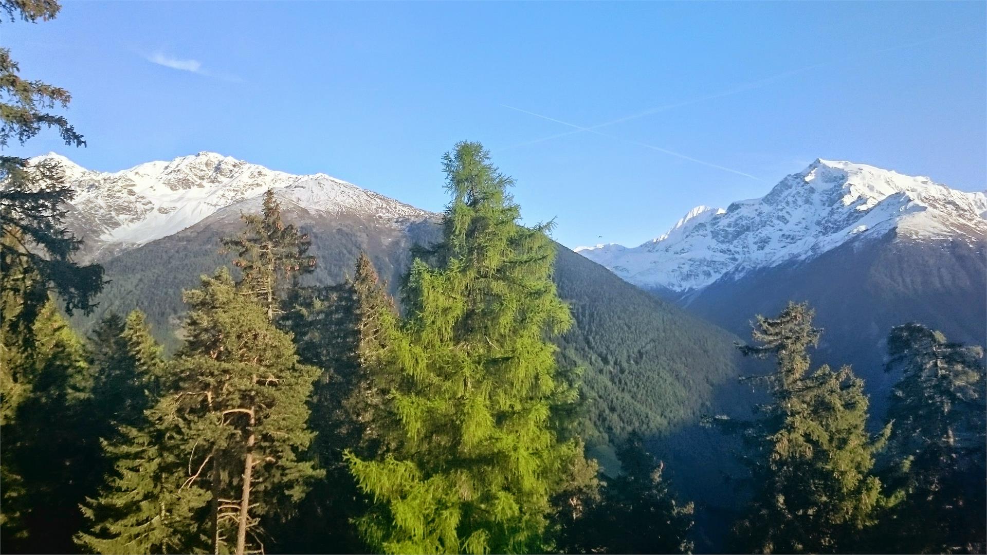 Montoni Tour Prato allo Stelvio 1 suedtirol.info