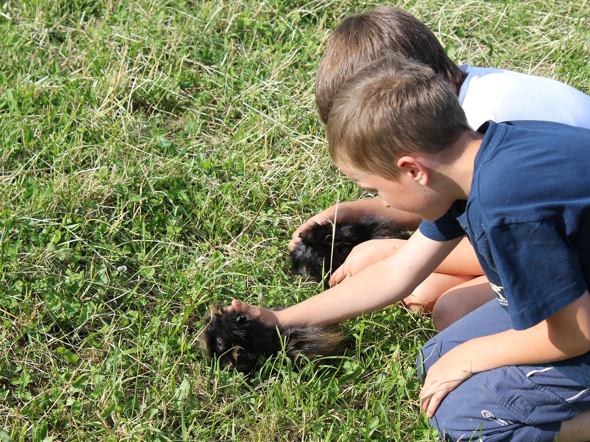 Petting zoo at Lanzenschuster