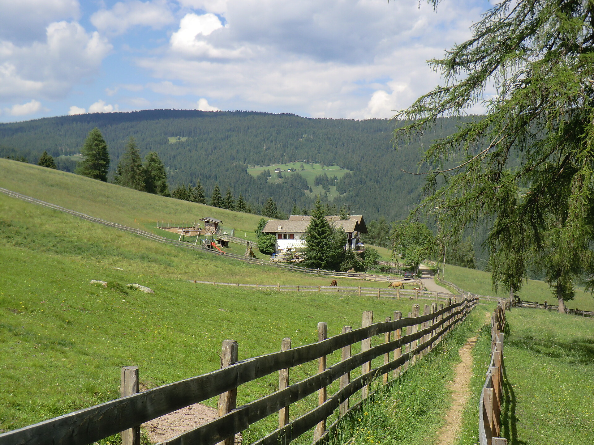 Lanzenschuster