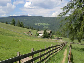 Lanzenschuster