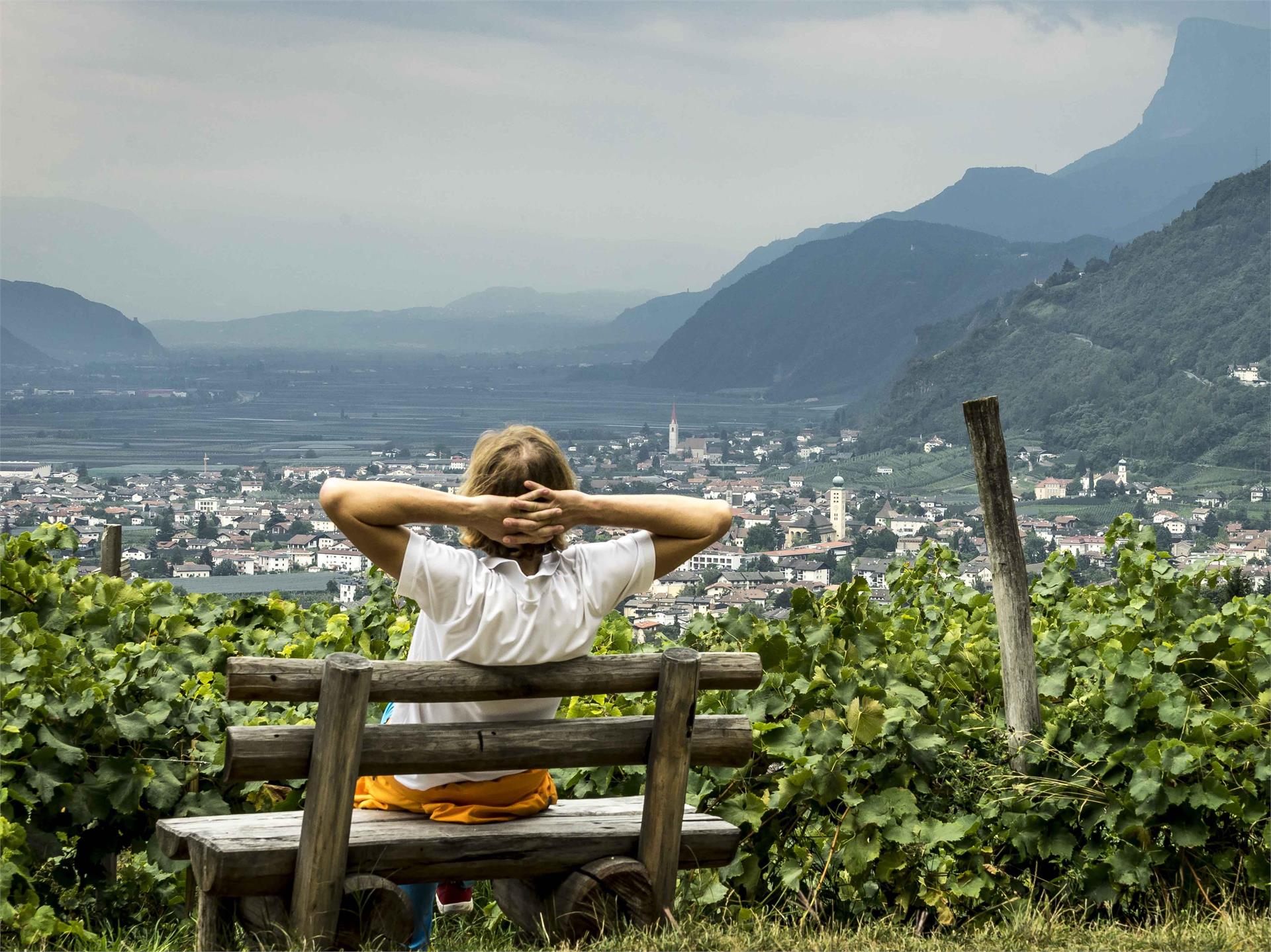 Marlinger high mountain trail from Tscherms Marling/Marlengo 3 suedtirol.info