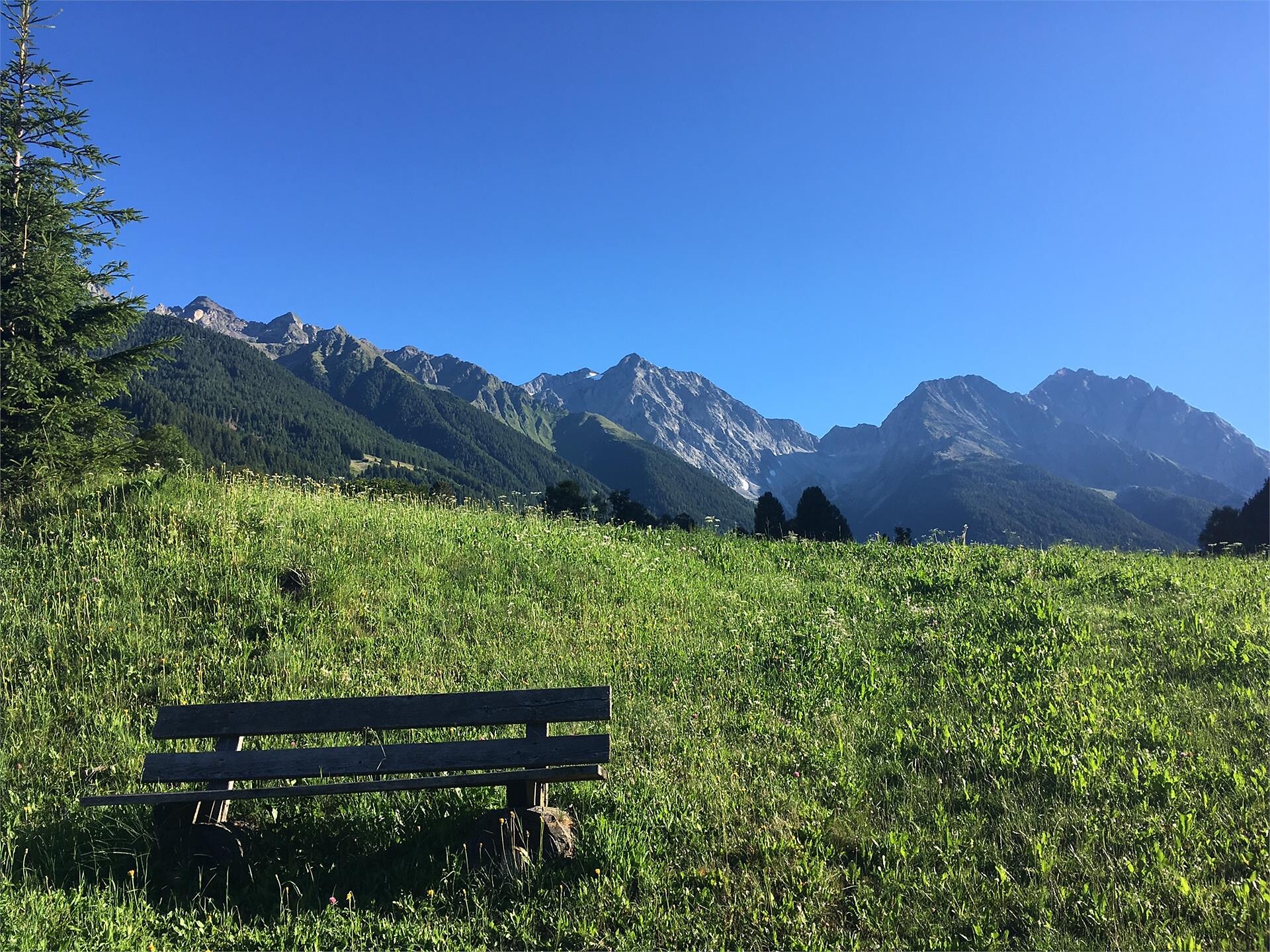 Percorso Circolare Müllerkofl Rasun Anterselva 1 suedtirol.info
