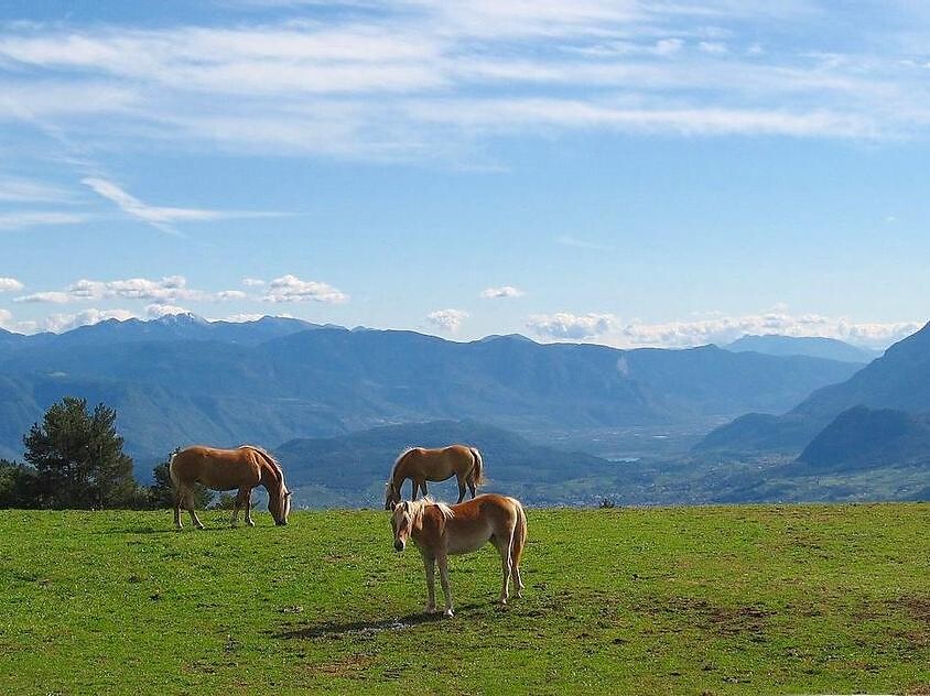 Panorama dal Tschaufen