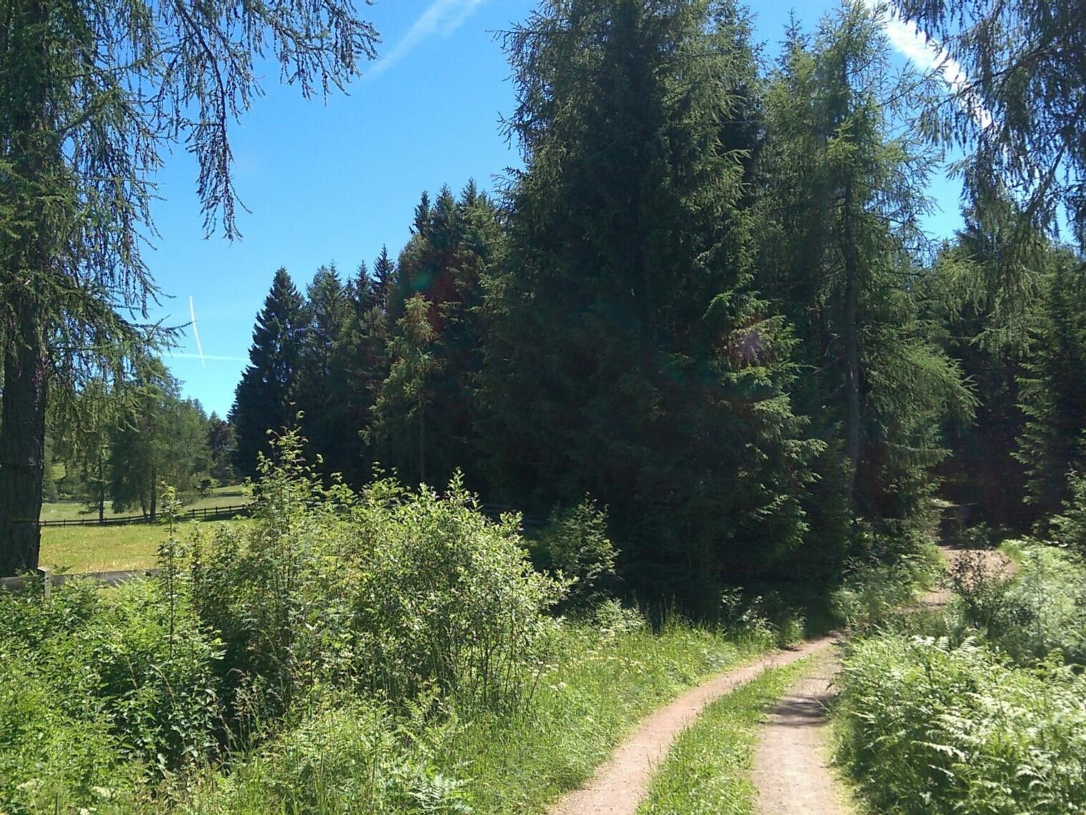 Sentiero Tschaufen