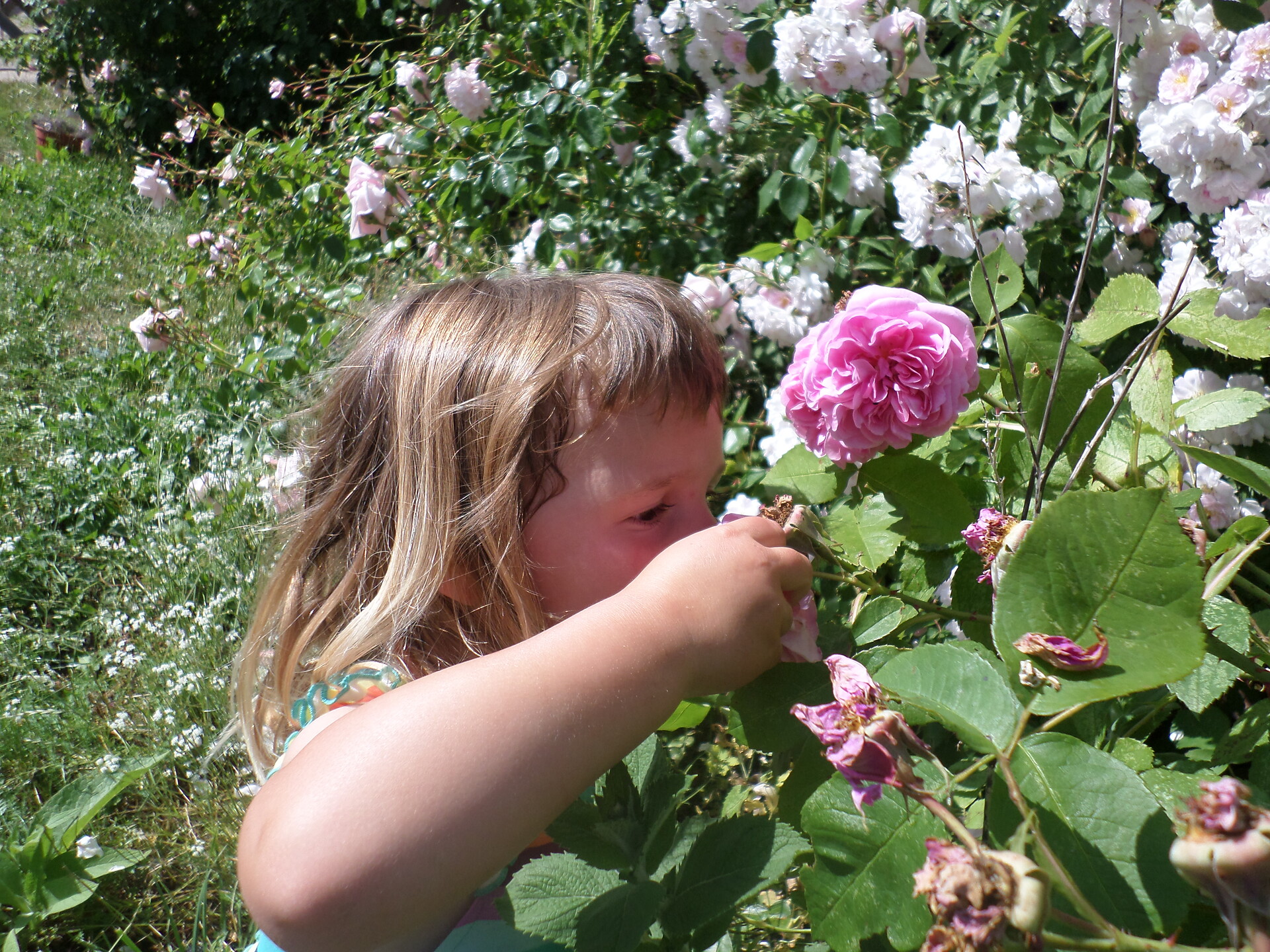 Bambino con fiori
