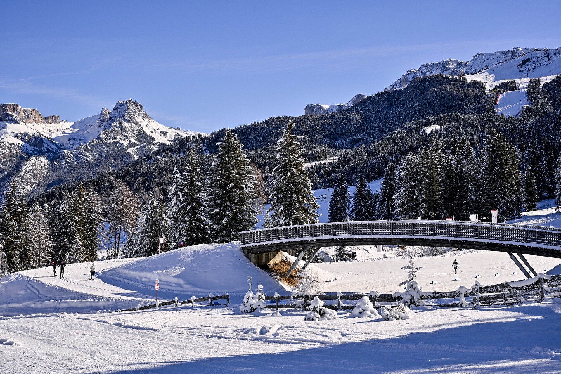 Mont Dessot - Dolomites Region Val Gardena - #13 - suedtirol.info