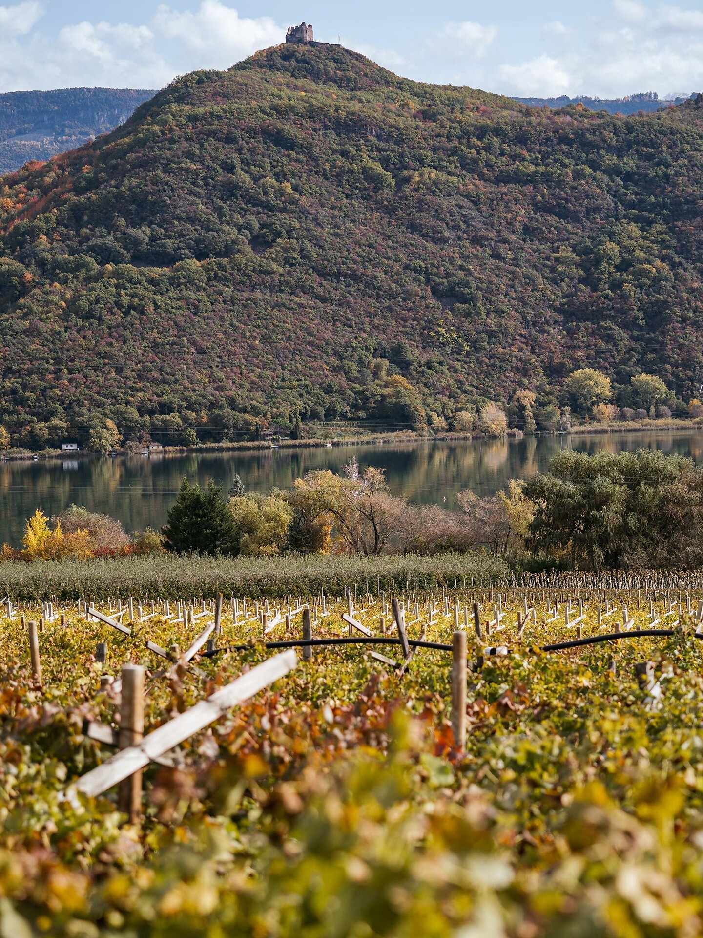 Kalterer See