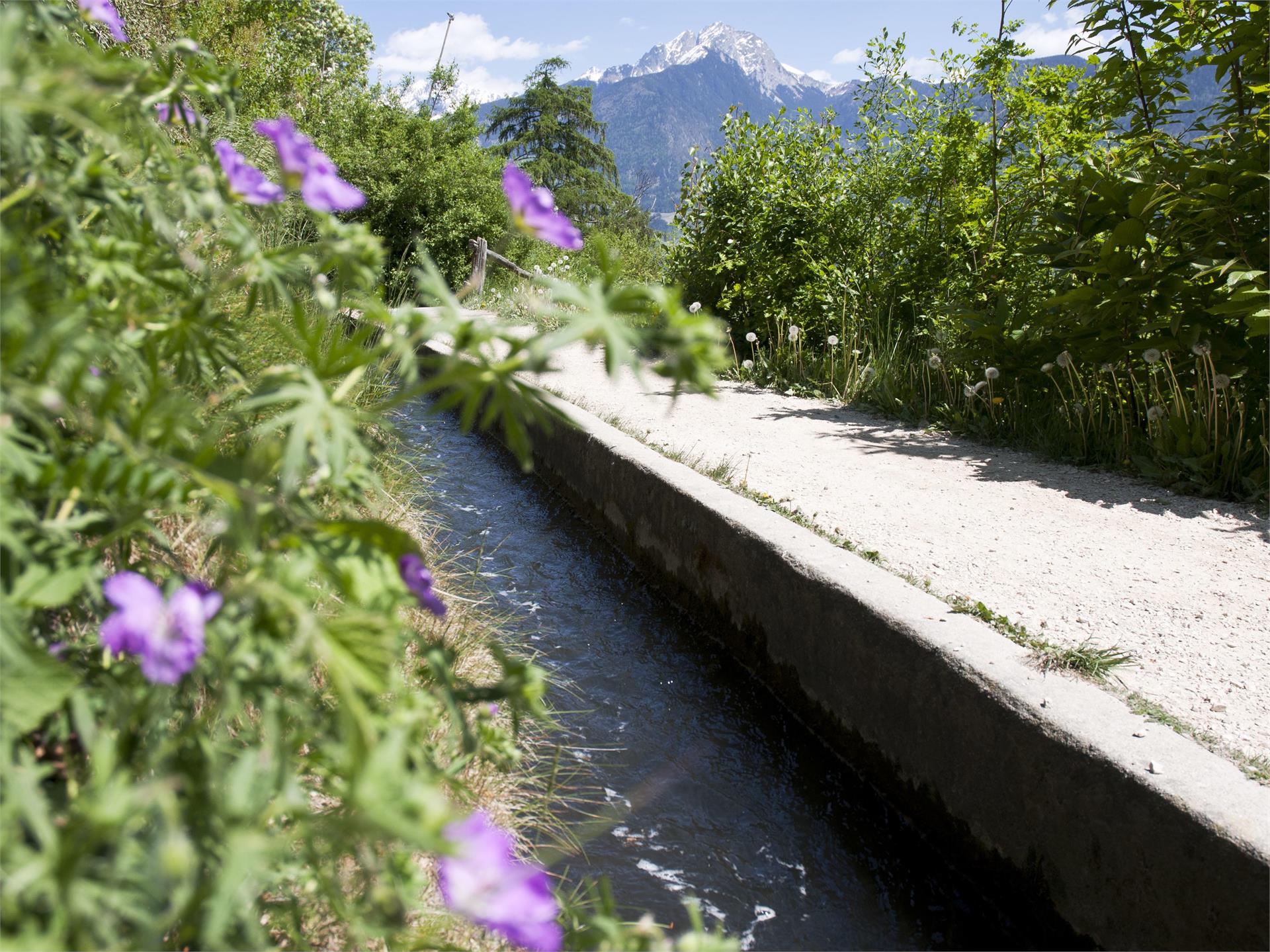 The Marlenger Waalweg irrigation path beginning from Töll Partschins/Parcines 2 suedtirol.info