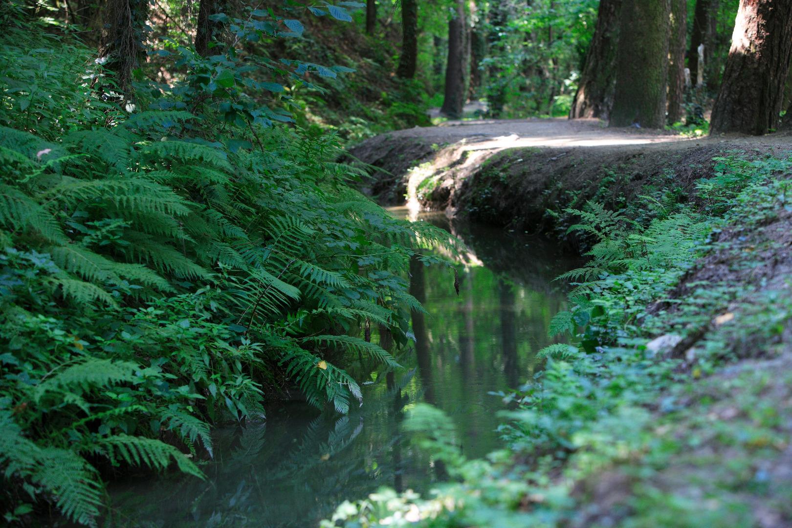 The Marlenger Waalweg irrigation path beginning from Töll Partschins/Parcines 4 suedtirol.info
